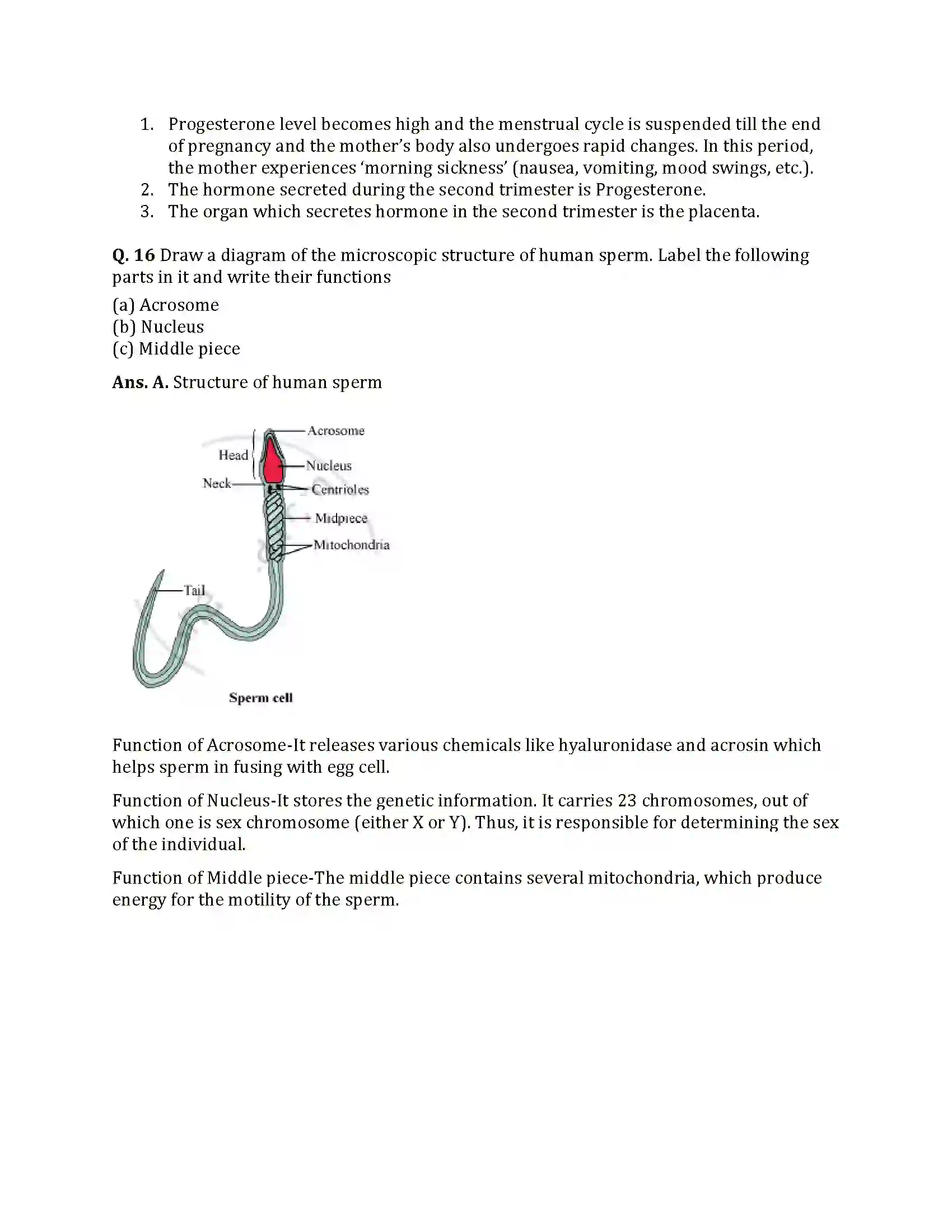 Maharashtra Board Class 12th 2021 Biology Sample Paper 7