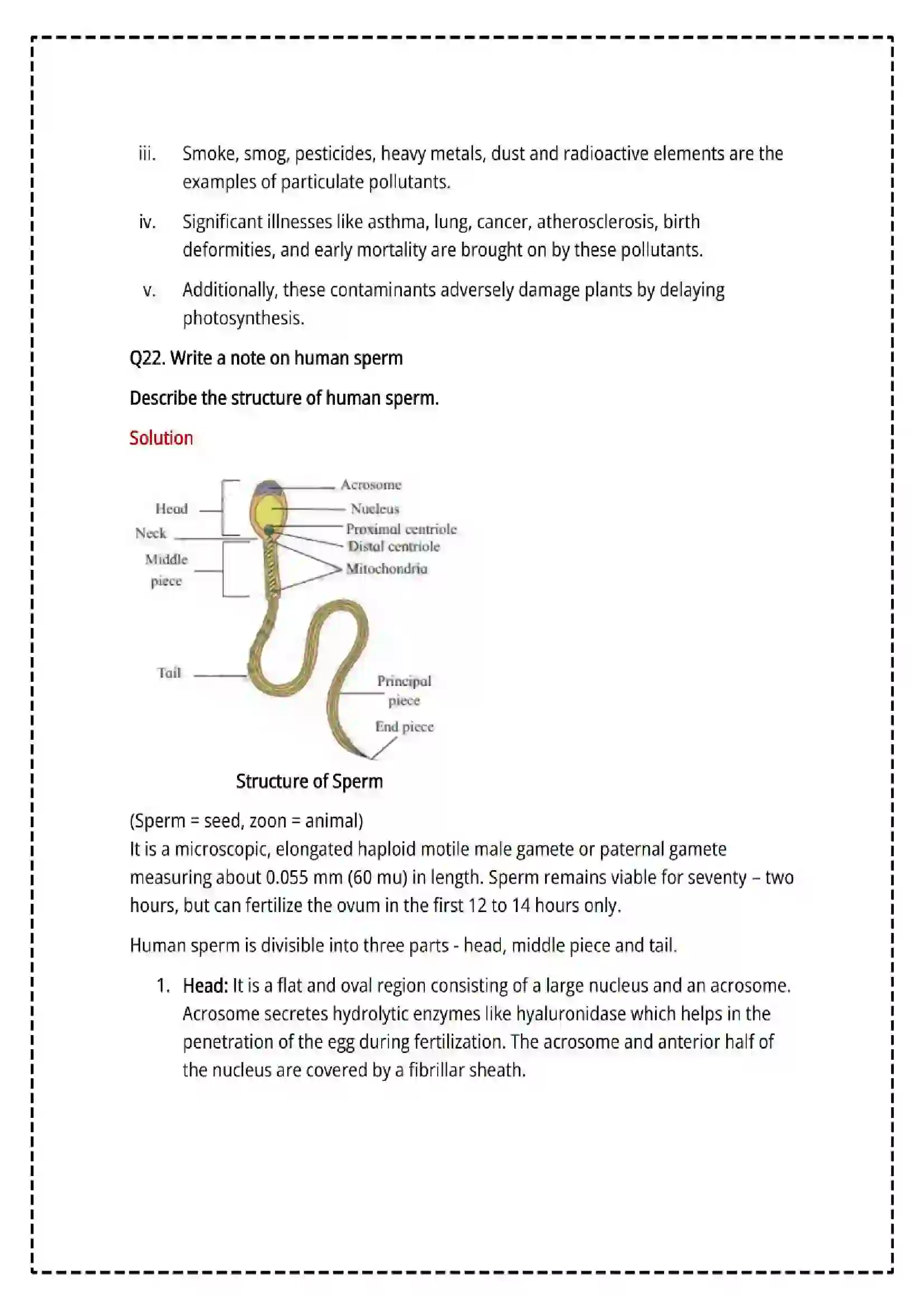 Maharashtra Board Class 12th 2025 Biology Set - 1 - Sample Paper 16
