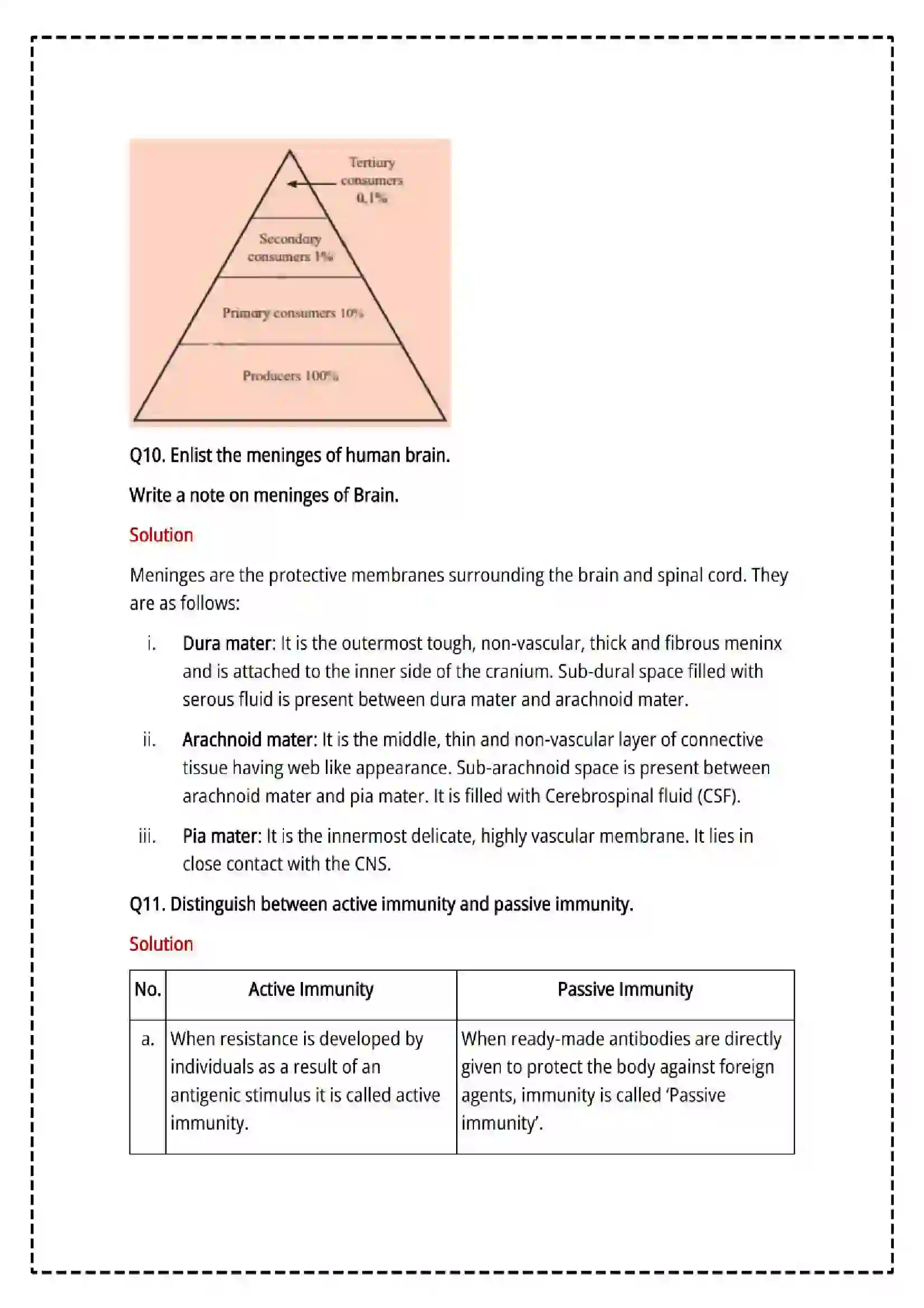 Maharashtra Board Class 12th 2025 Biology Set - 1 - Sample Paper 9