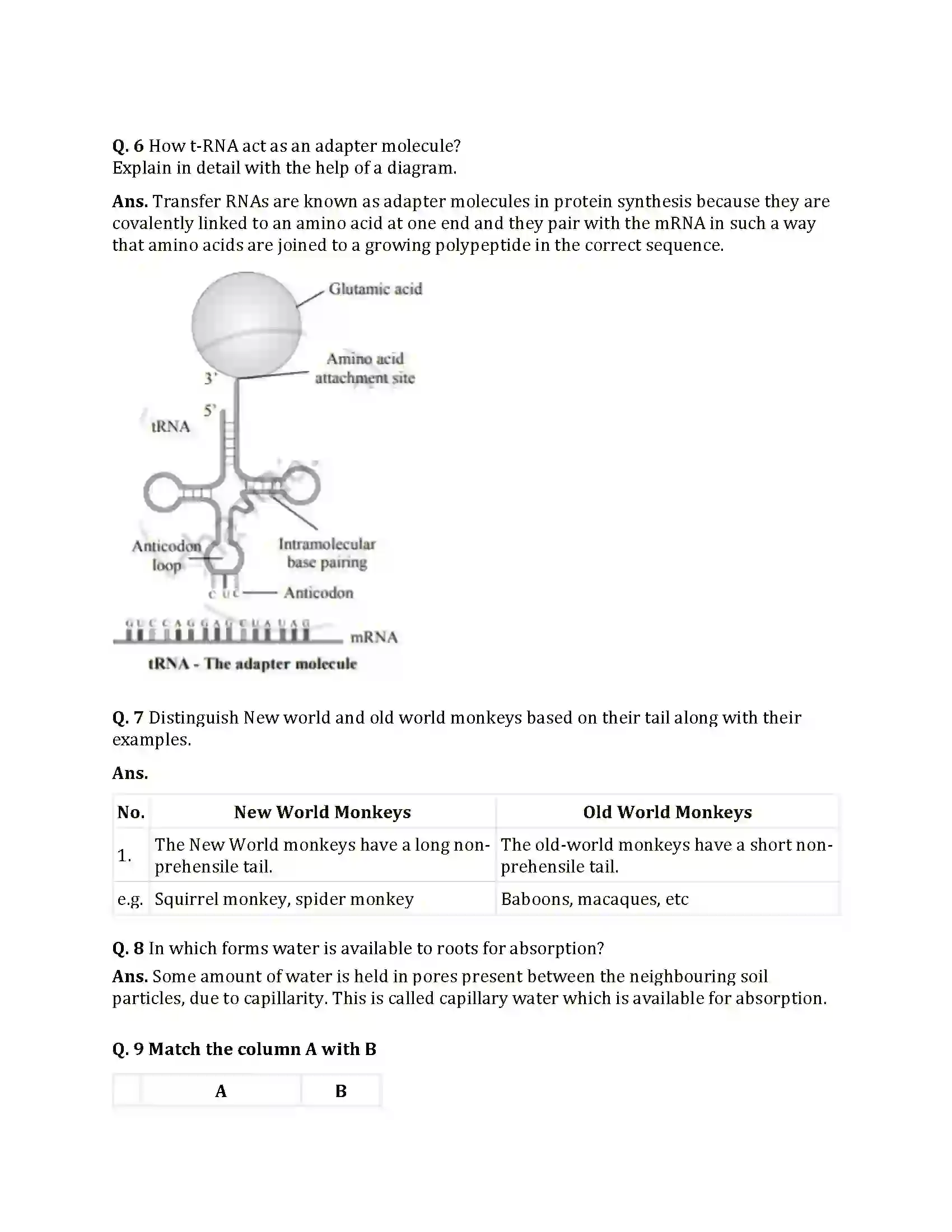 Maharashtra Board Class 12th 2025 Biology Sample Paper 6