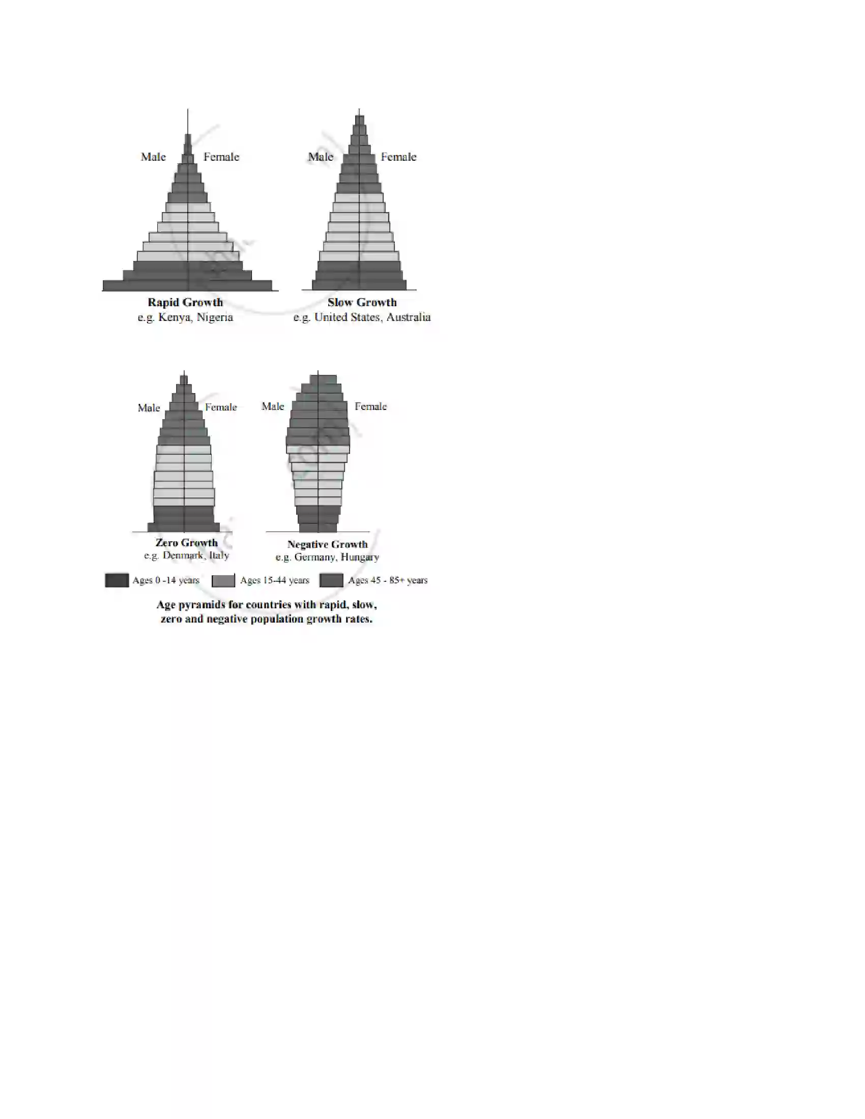 Maharashtra Board Class 12th 2025 Biology Set 1 Sample Paper 16
