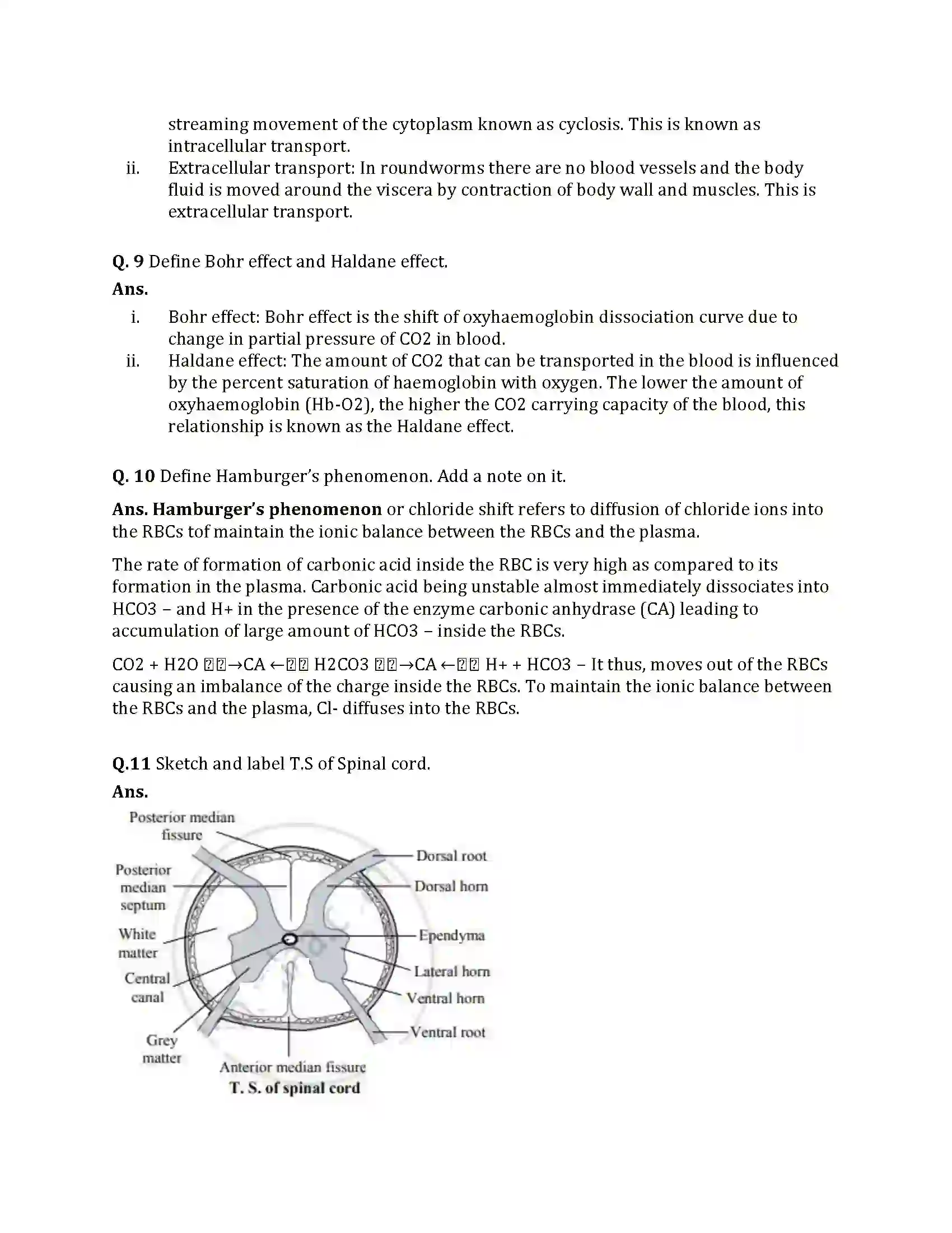 Maharashtra Board Class 12th 2025 Biology Set 1 Sample Paper 6