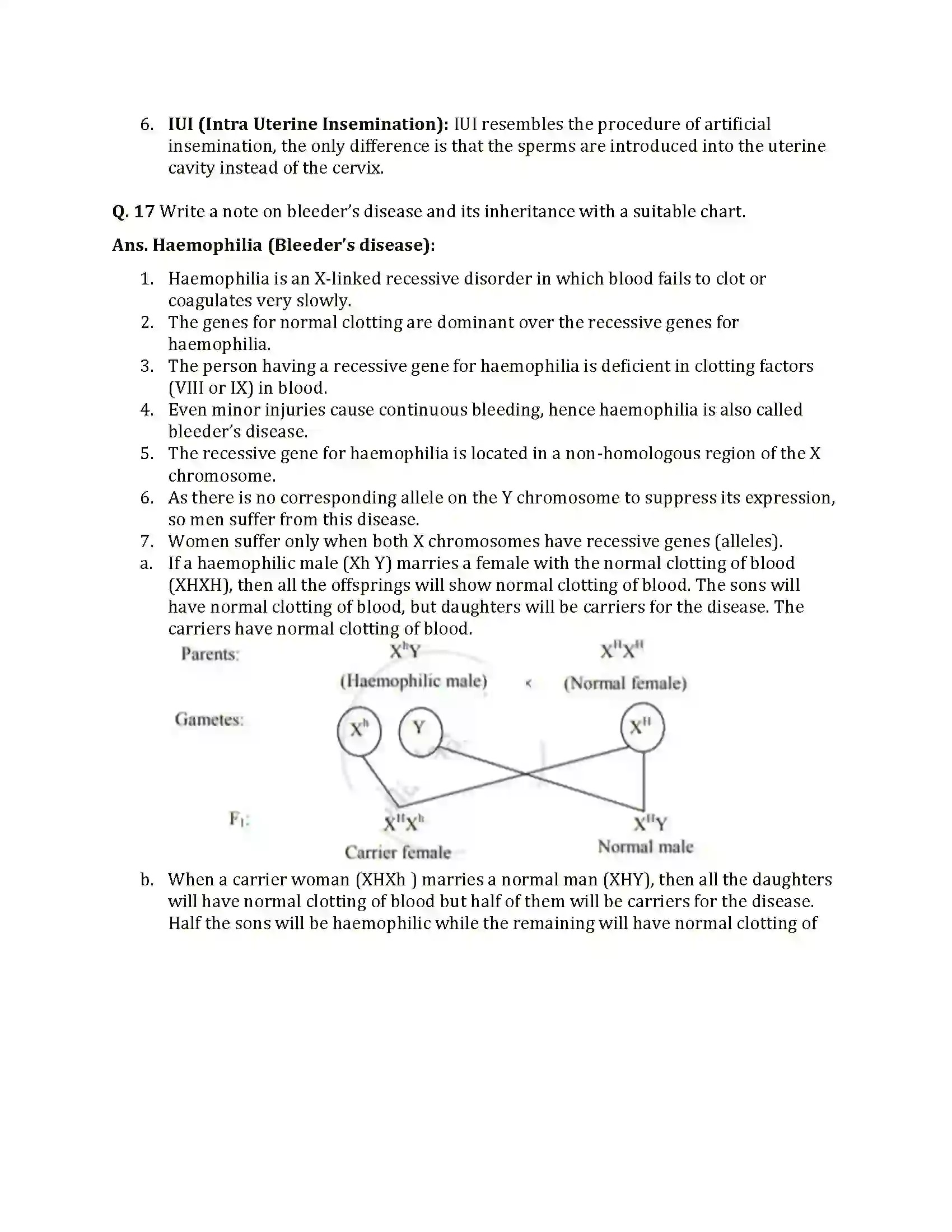 Maharashtra Board Class 12th 2025 Biology Set 1 Sample Paper 9