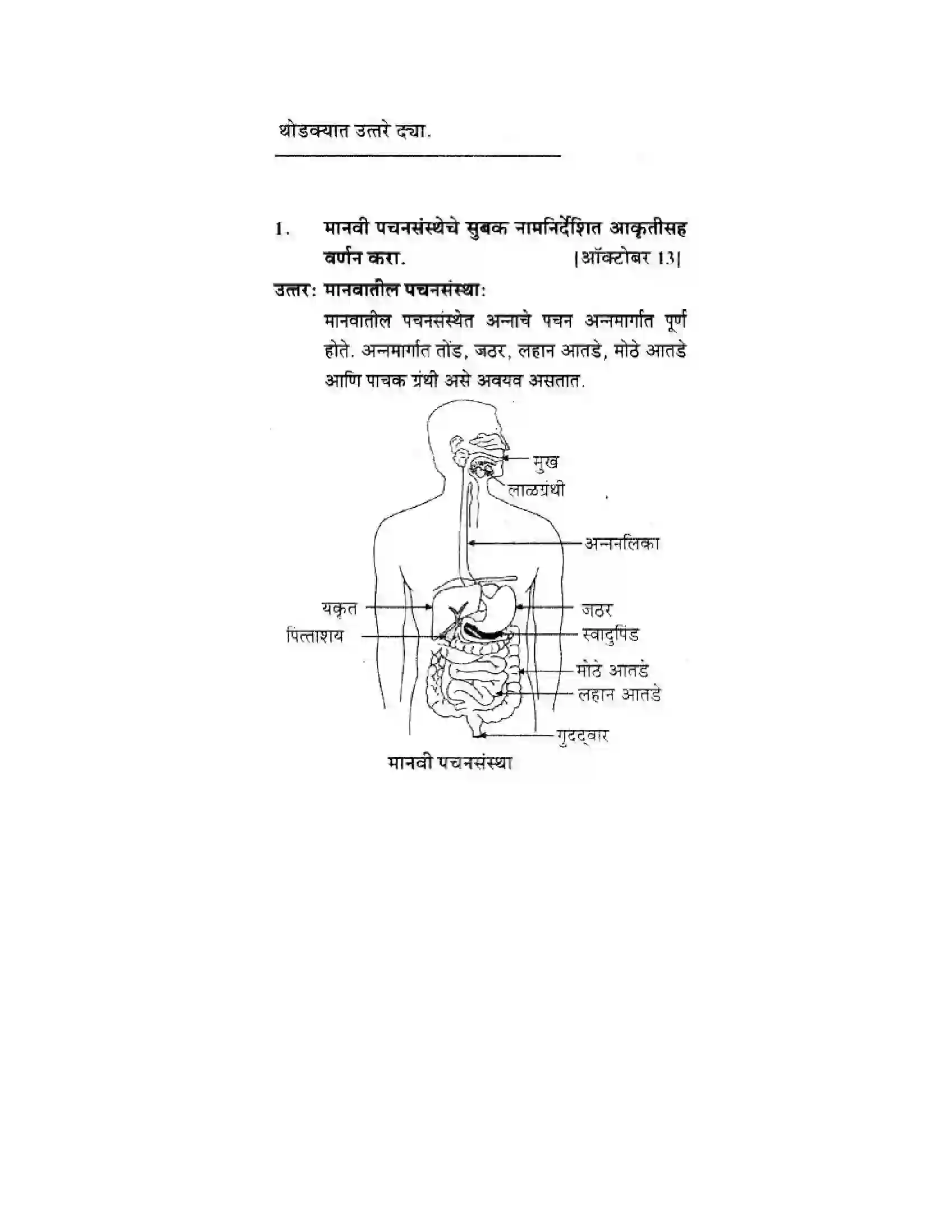 Maharashtra Board Class 10th Science & Technology - Marathi Medium Life’s Internal Secrets Solution 13