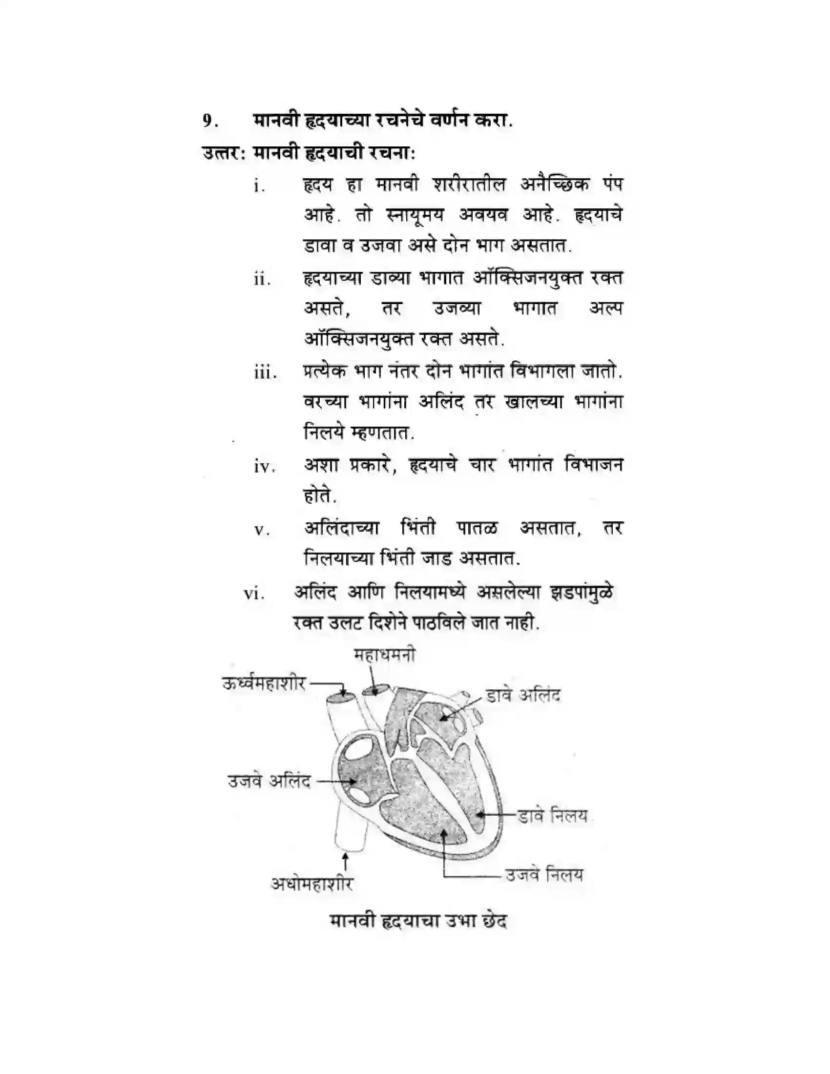 Maharashtra Board Class 10th Science & Technology - Marathi Medium Life’s Internal Secrets Solution 22