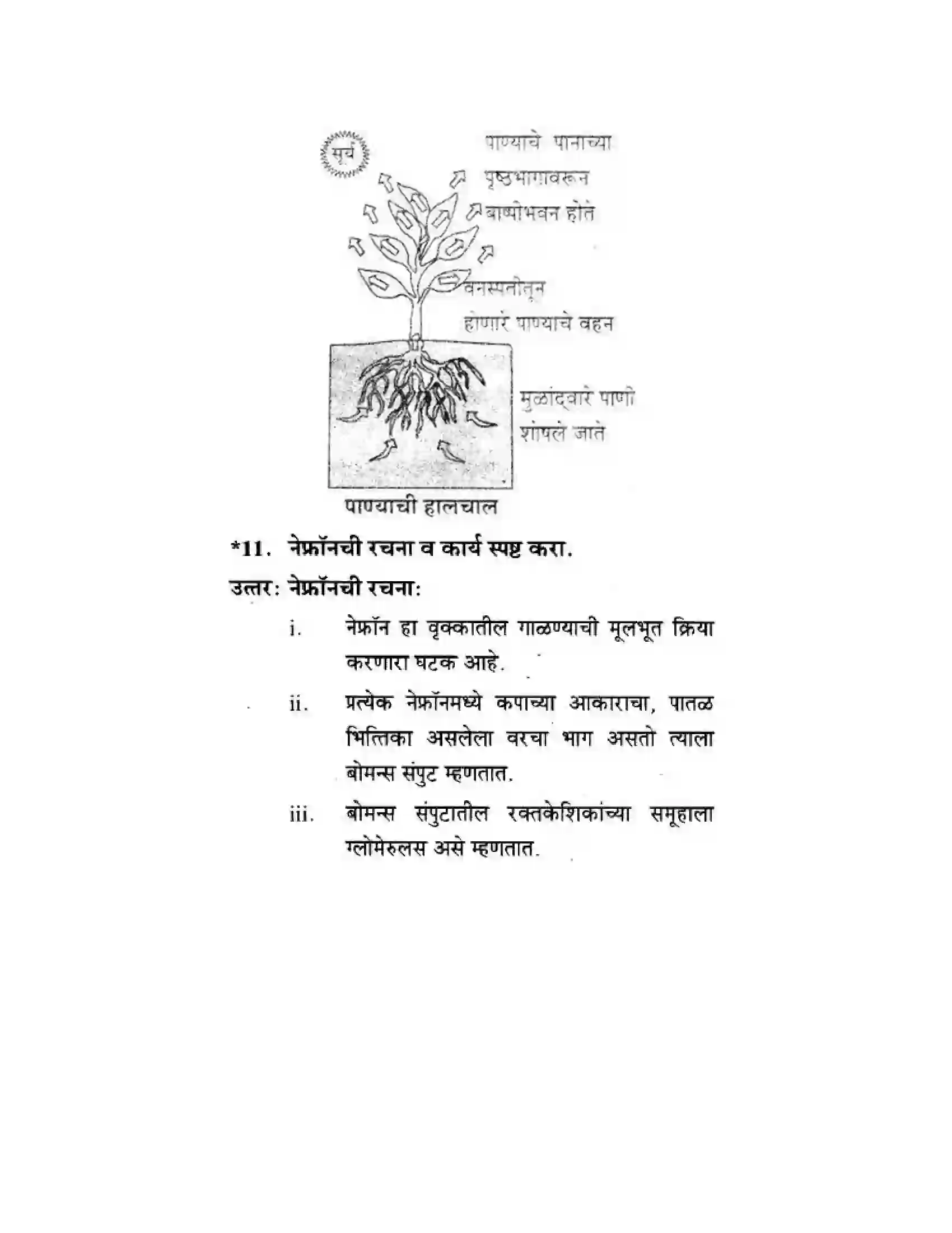 Maharashtra Board Class 10th Science & Technology - Marathi Medium Life’s Internal Secrets Solution 24