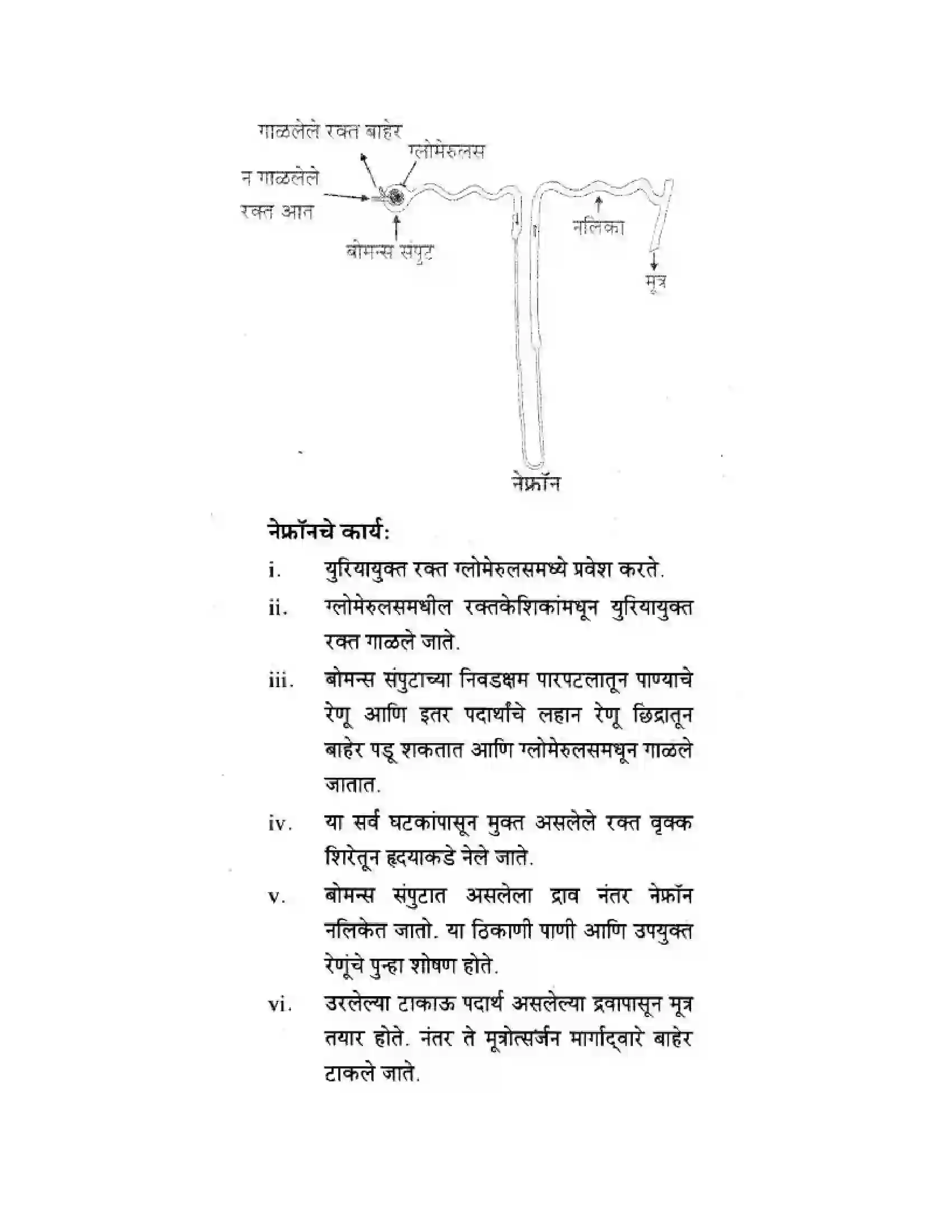 Maharashtra Board Class 10th Science & Technology - Marathi Medium Life’s Internal Secrets Solution 25