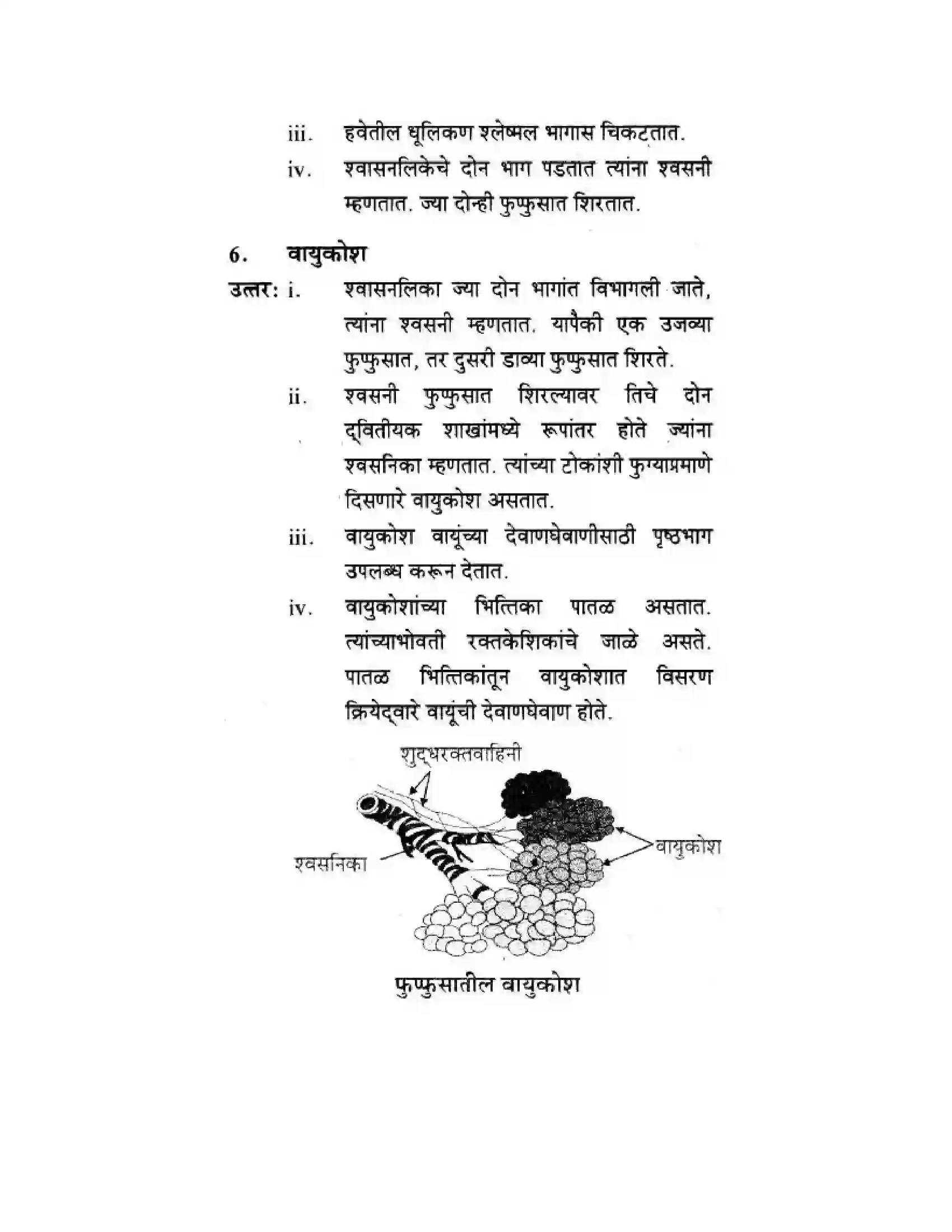 Maharashtra Board Class 10th Science & Technology - Marathi Medium Life’s Internal Secrets Solution 31