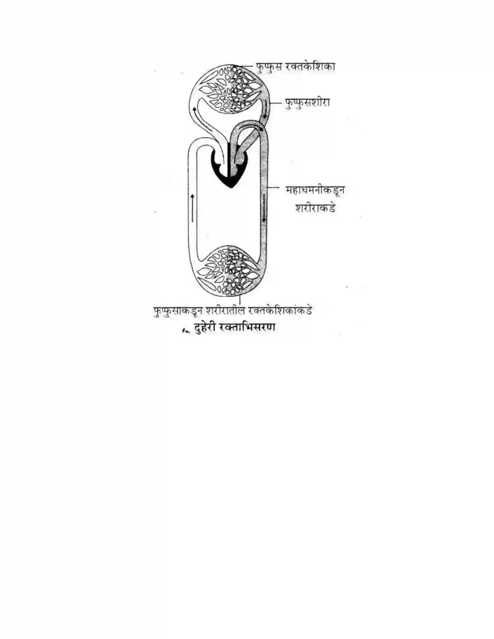 Maharashtra Board Class 10th Science & Technology - Marathi Medium Life’s Internal Secrets Solution 34
