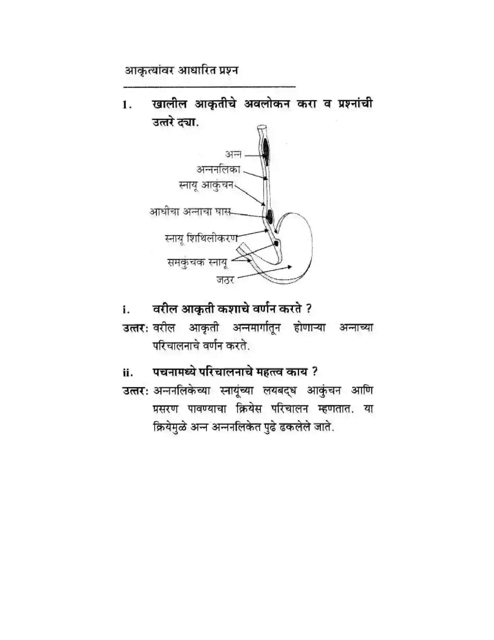 Maharashtra Board Class 10th Science & Technology - Marathi Medium Life’s Internal Secrets Solution 59