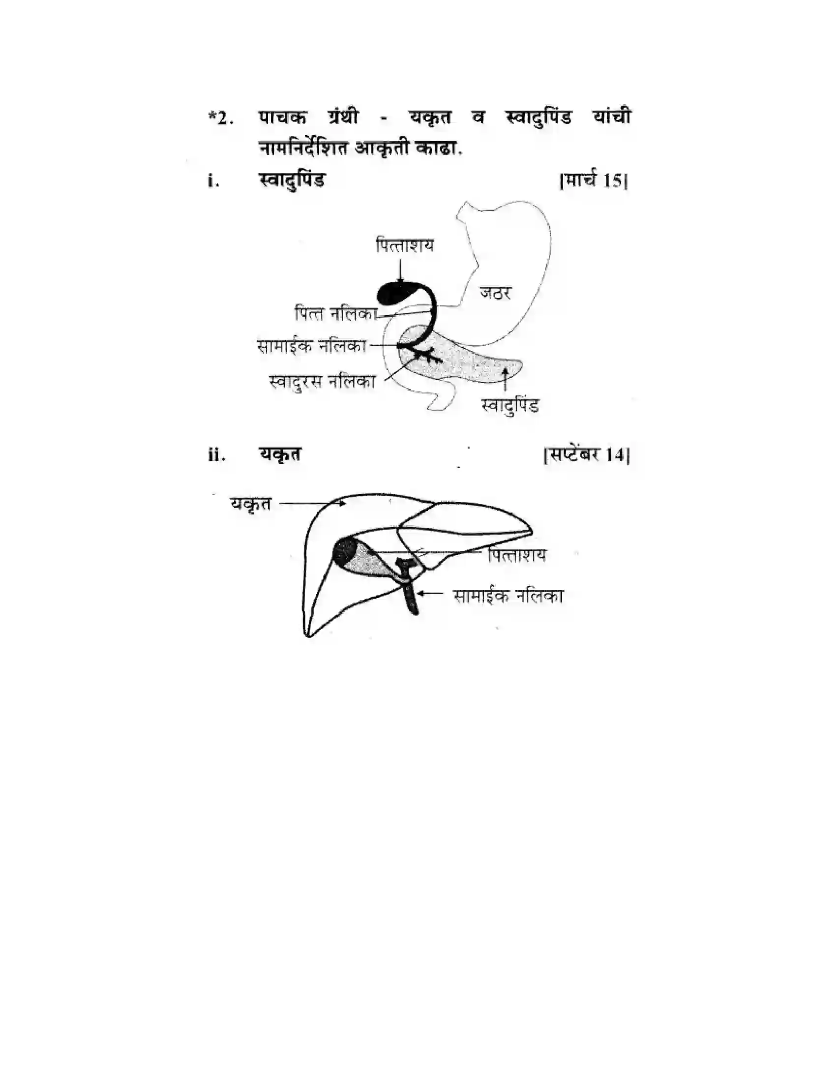 Maharashtra Board Class 10th Science & Technology - Marathi Medium Life’s Internal Secrets Solution 60