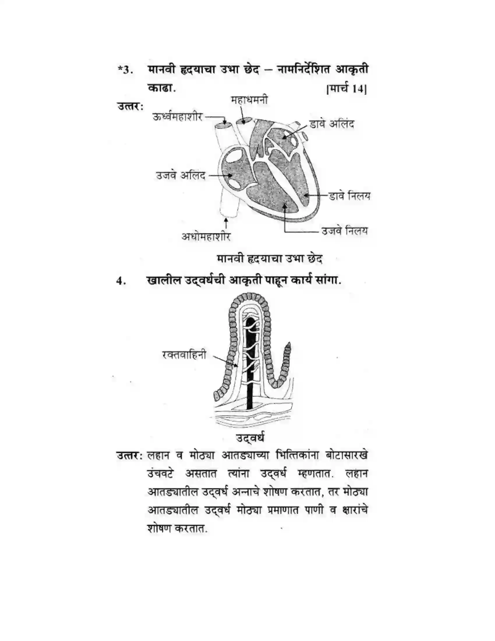 Maharashtra Board Class 10th Science & Technology - Marathi Medium Life’s Internal Secrets Solution 61