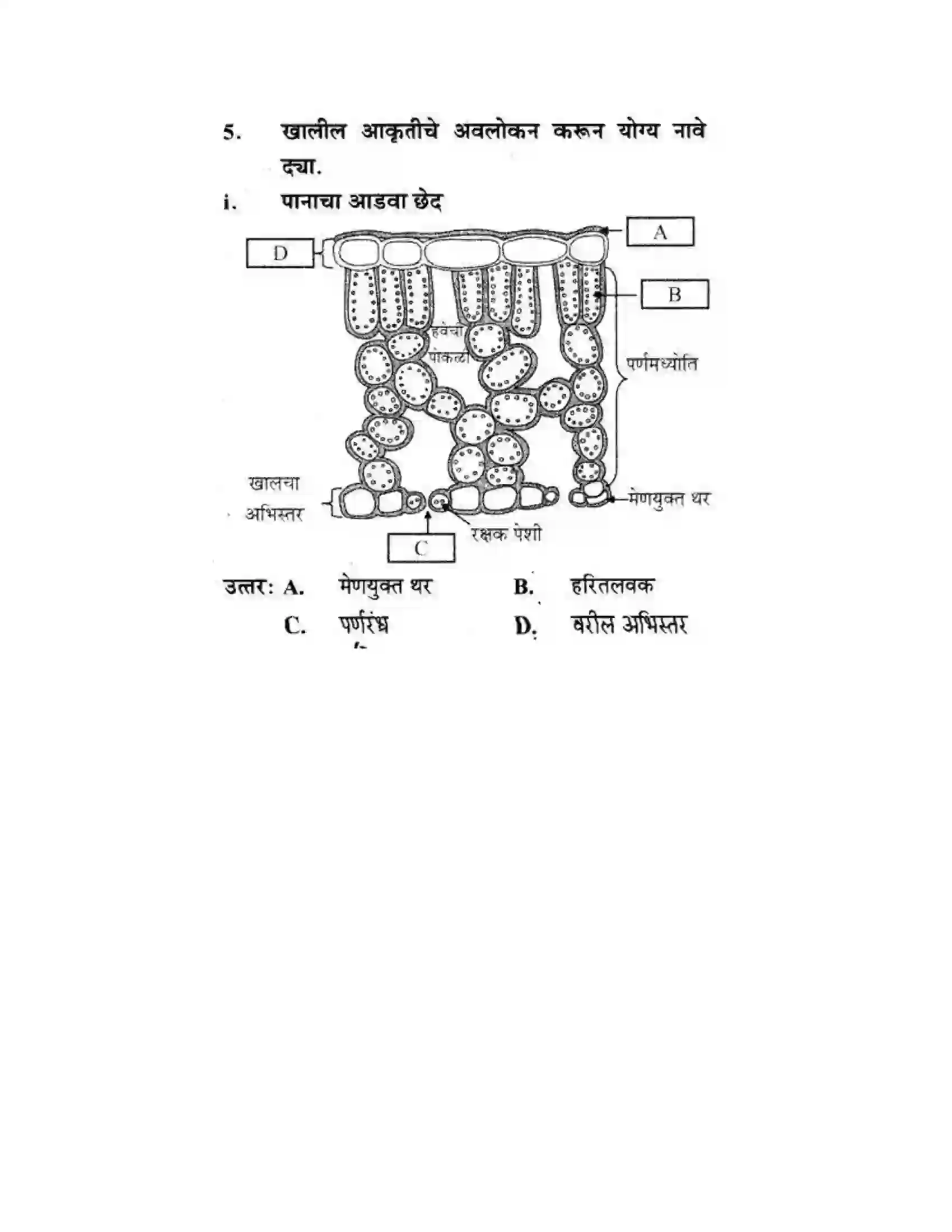 Maharashtra Board Class 10th Science & Technology - Marathi Medium Life’s Internal Secrets Solution 62