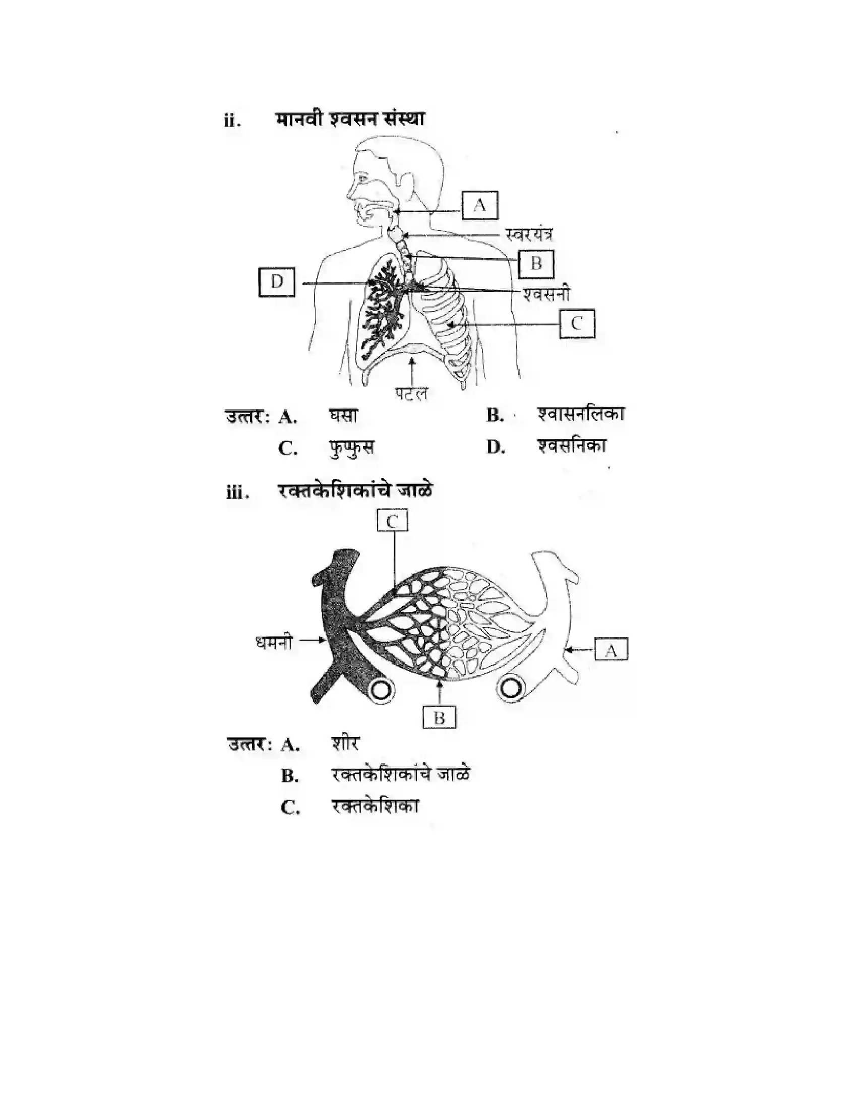 Maharashtra Board Class 10th Science & Technology - Marathi Medium Life’s Internal Secrets Solution 63