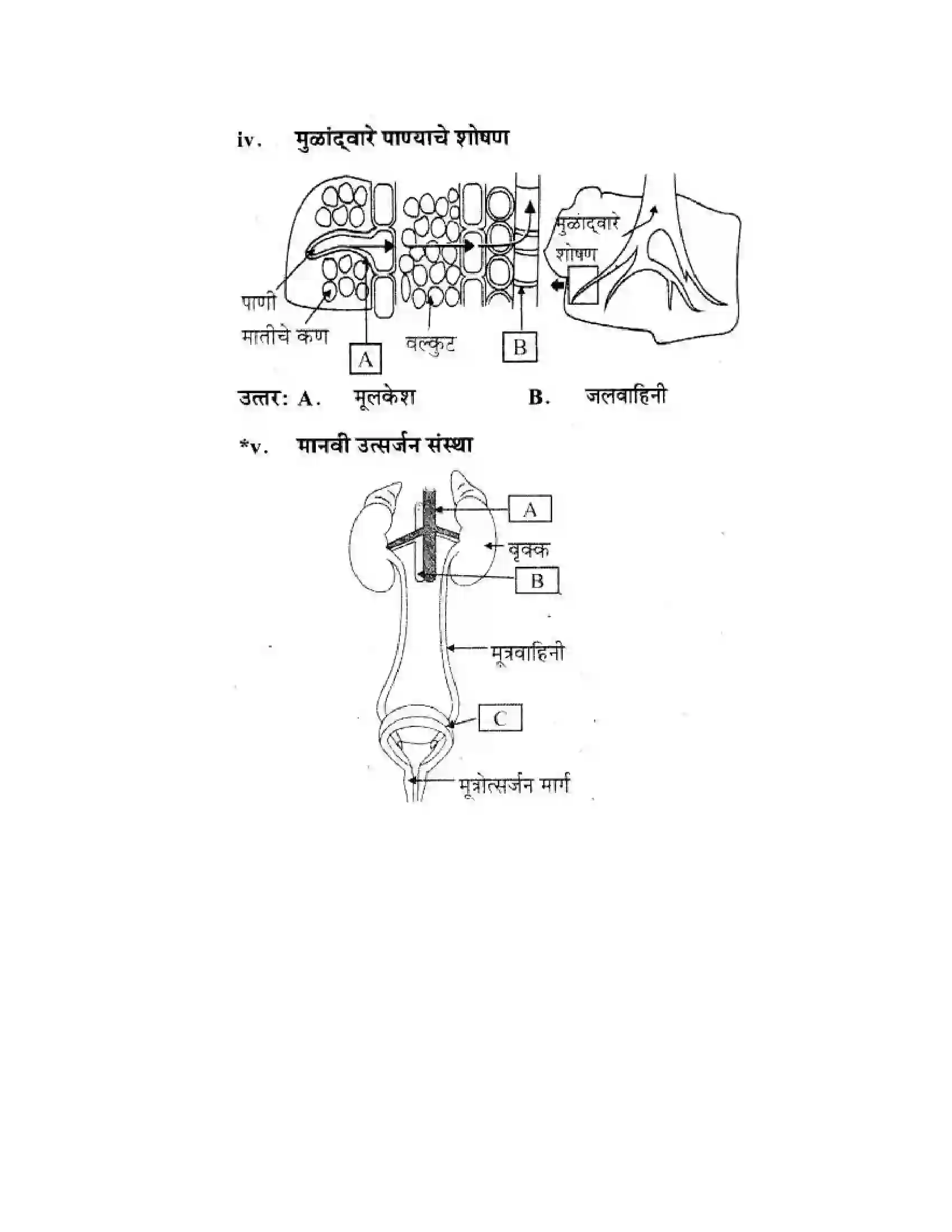 Maharashtra Board Class 10th Science & Technology - Marathi Medium Life’s Internal Secrets Solution 64