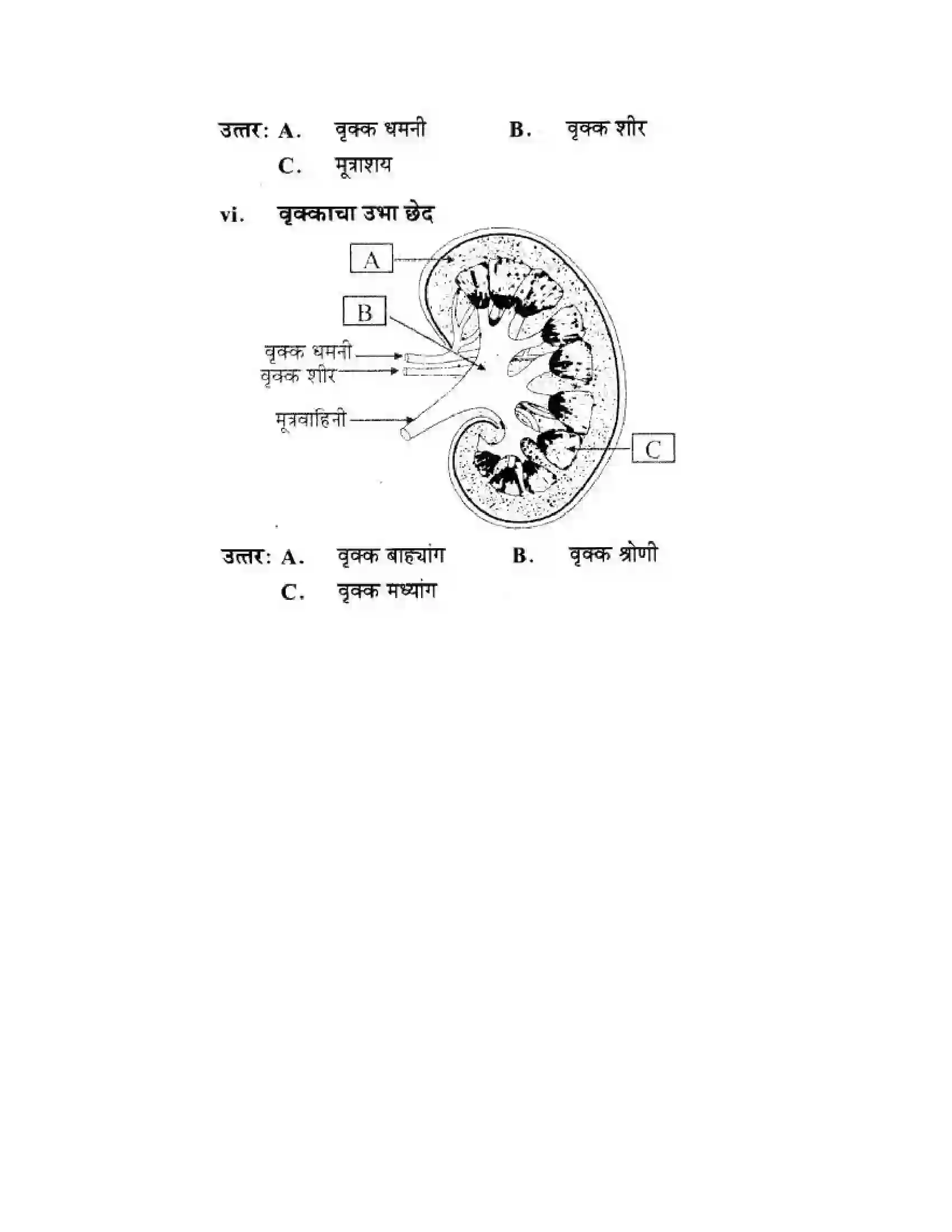 Maharashtra Board Class 10th Science & Technology - Marathi Medium Life’s Internal Secrets Solution 65