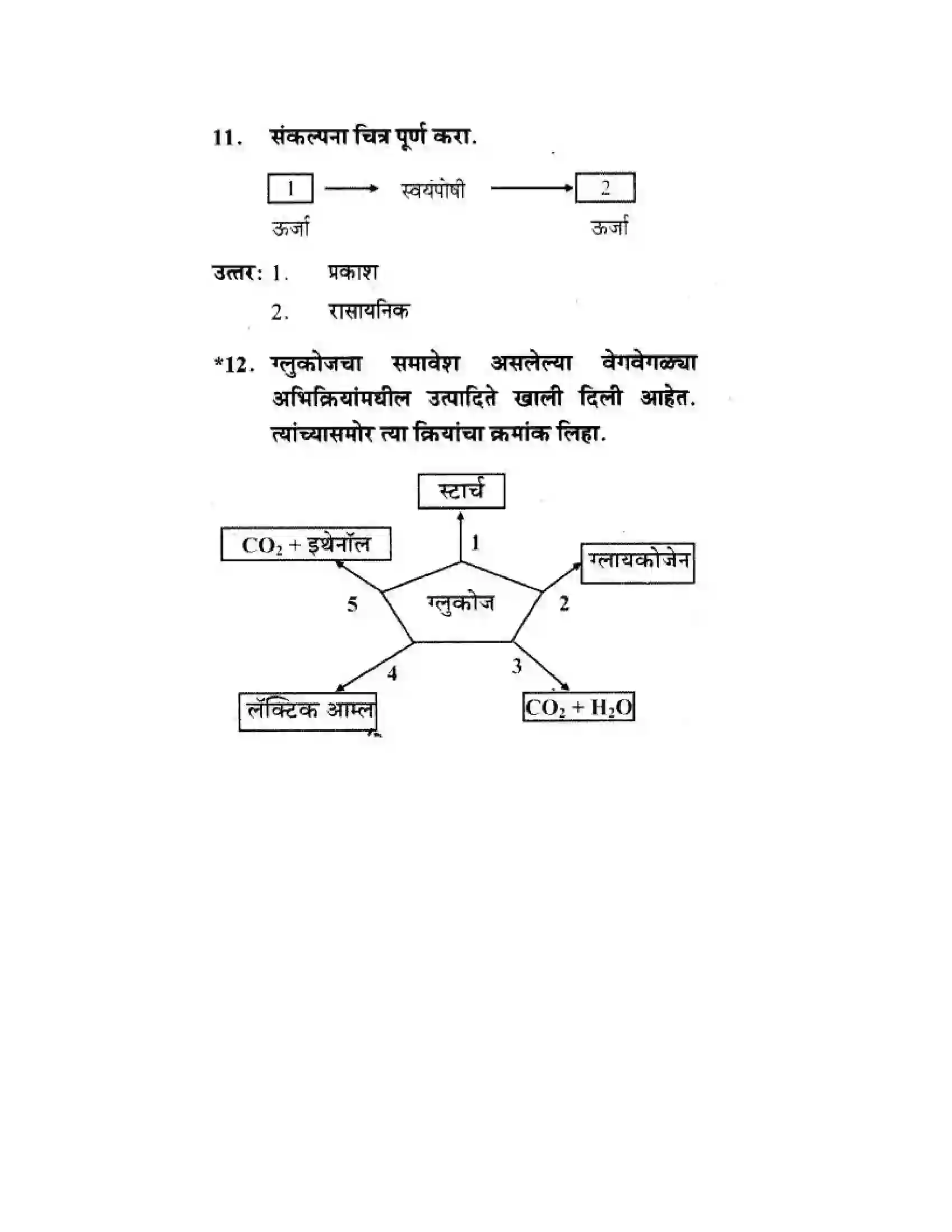 Maharashtra Board Class 10th Science & Technology - Marathi Medium Life’s Internal Secrets Solution 72