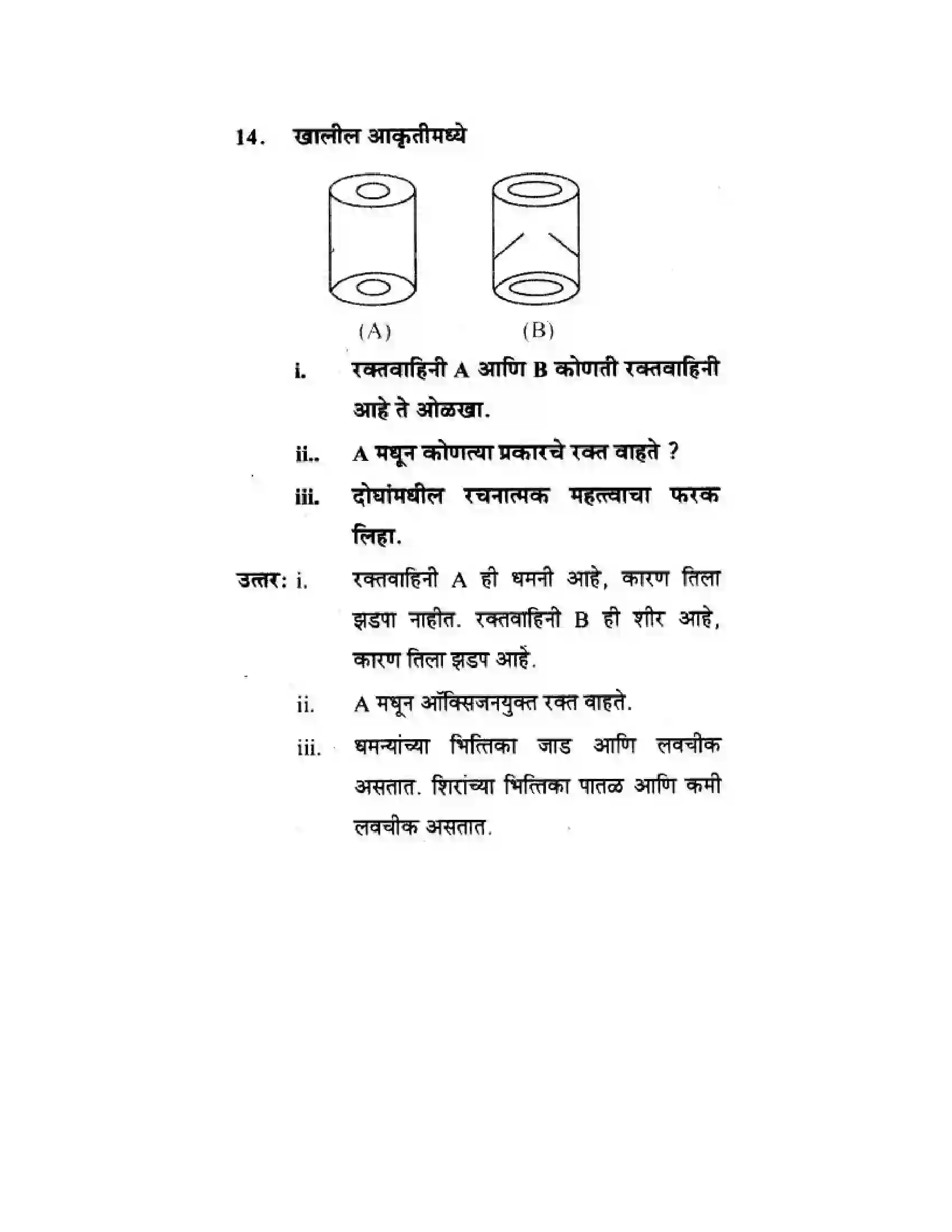 Maharashtra Board Class 10th Science & Technology - Marathi Medium Life’s Internal Secrets Solution 74
