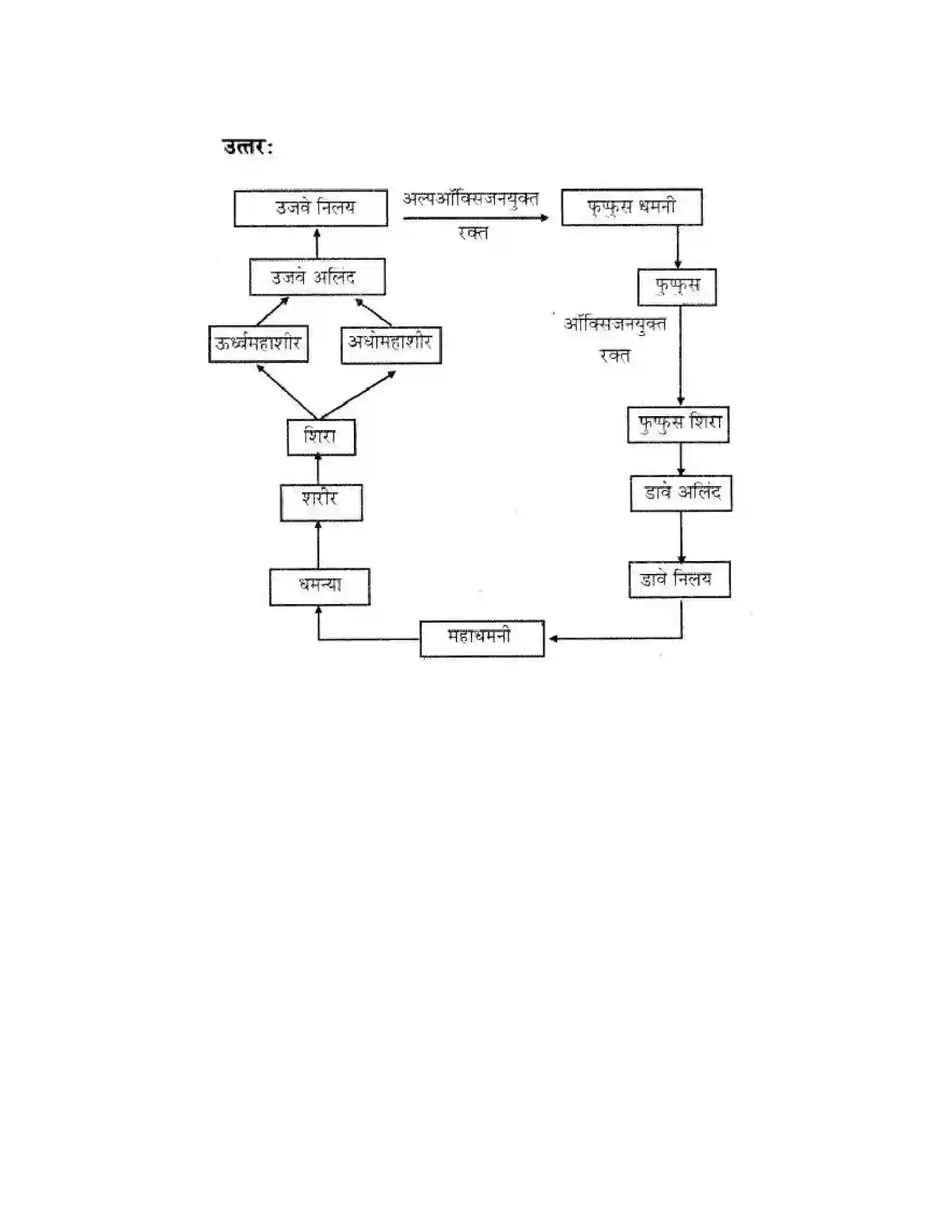 Maharashtra Board Class 10th Science & Technology - Marathi Medium Life’s Internal Secrets Solution 76