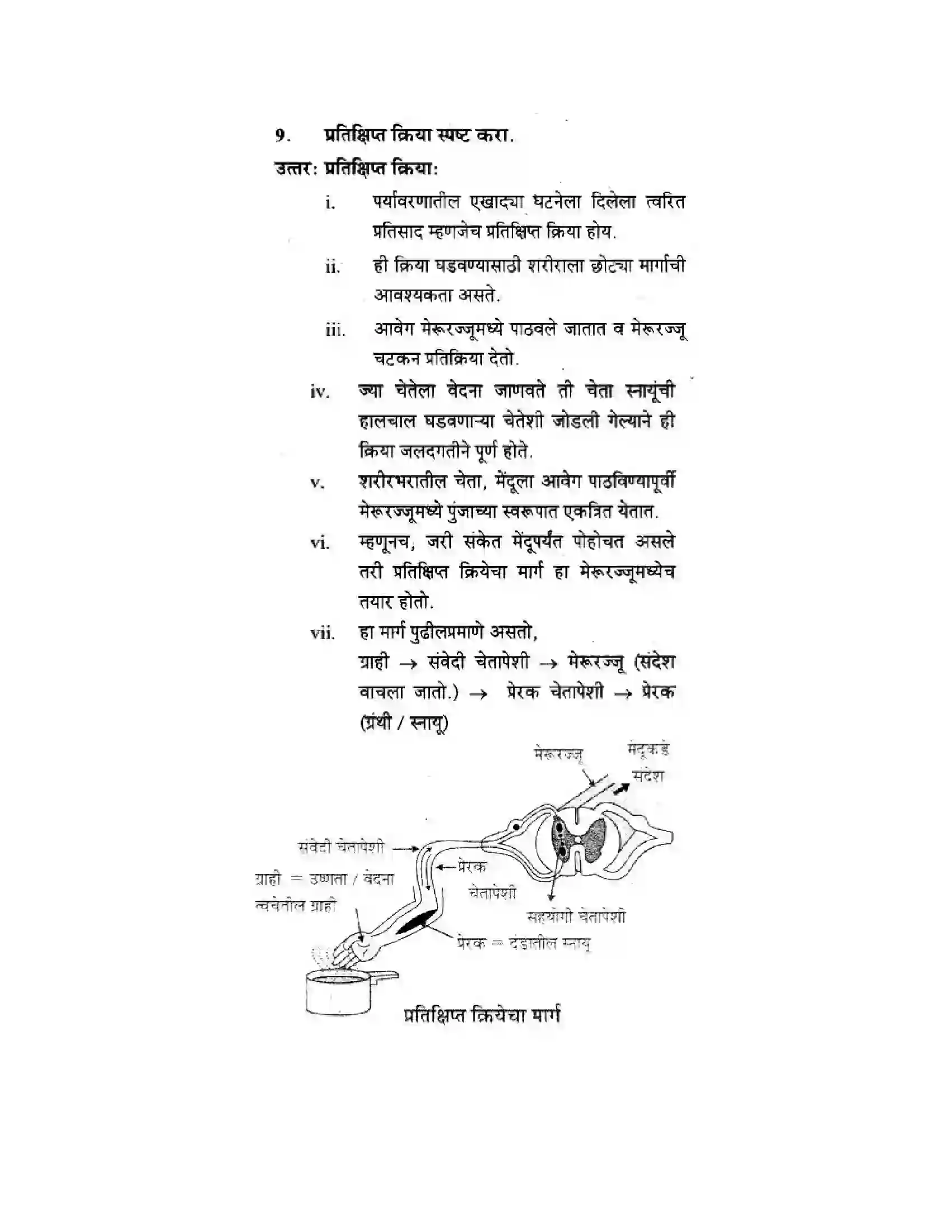 Maharashtra Board Class 10th Science & Technology - Marathi Medium The Regulators of Life Solution 22