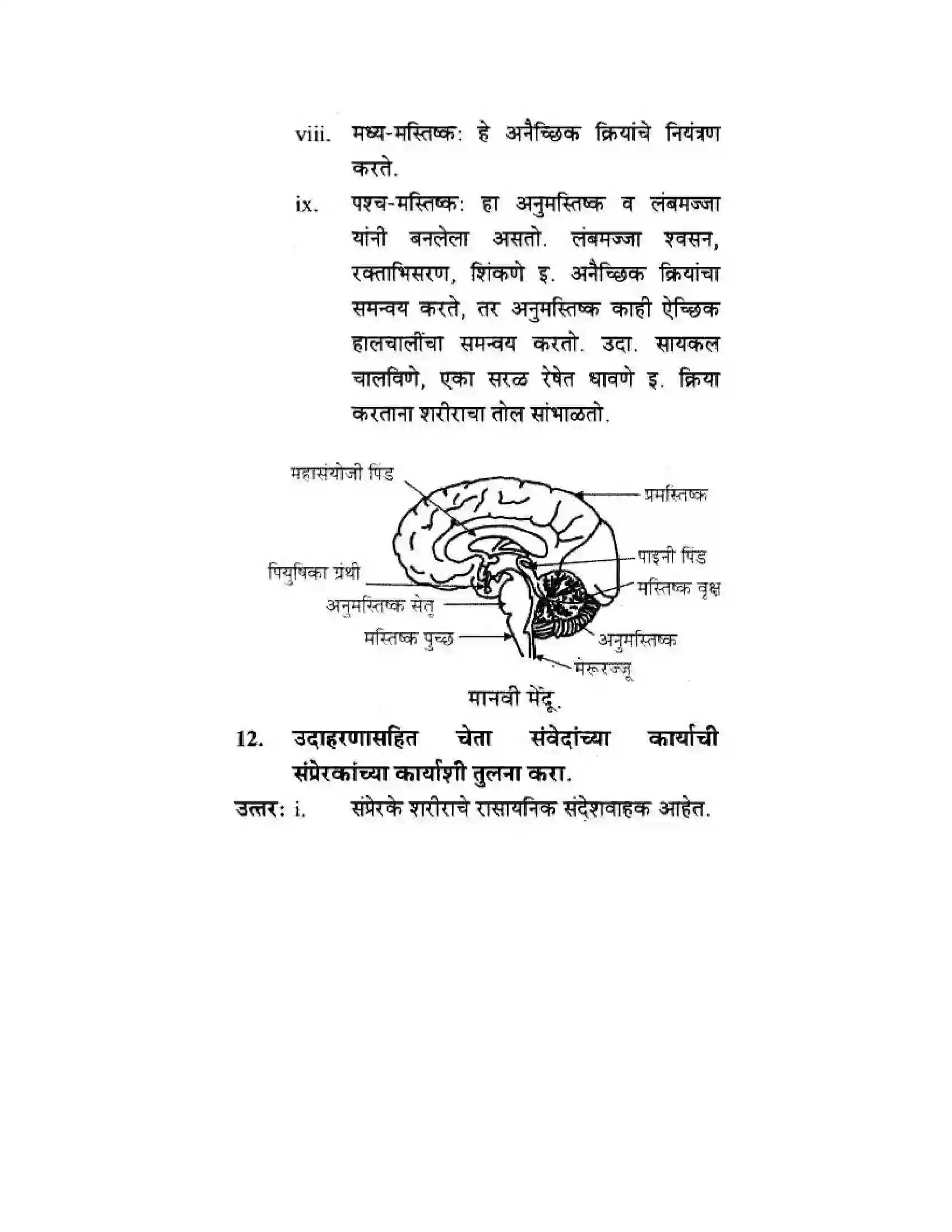 Maharashtra Board Class 10th Science & Technology - Marathi Medium The Regulators of Life Solution 25
