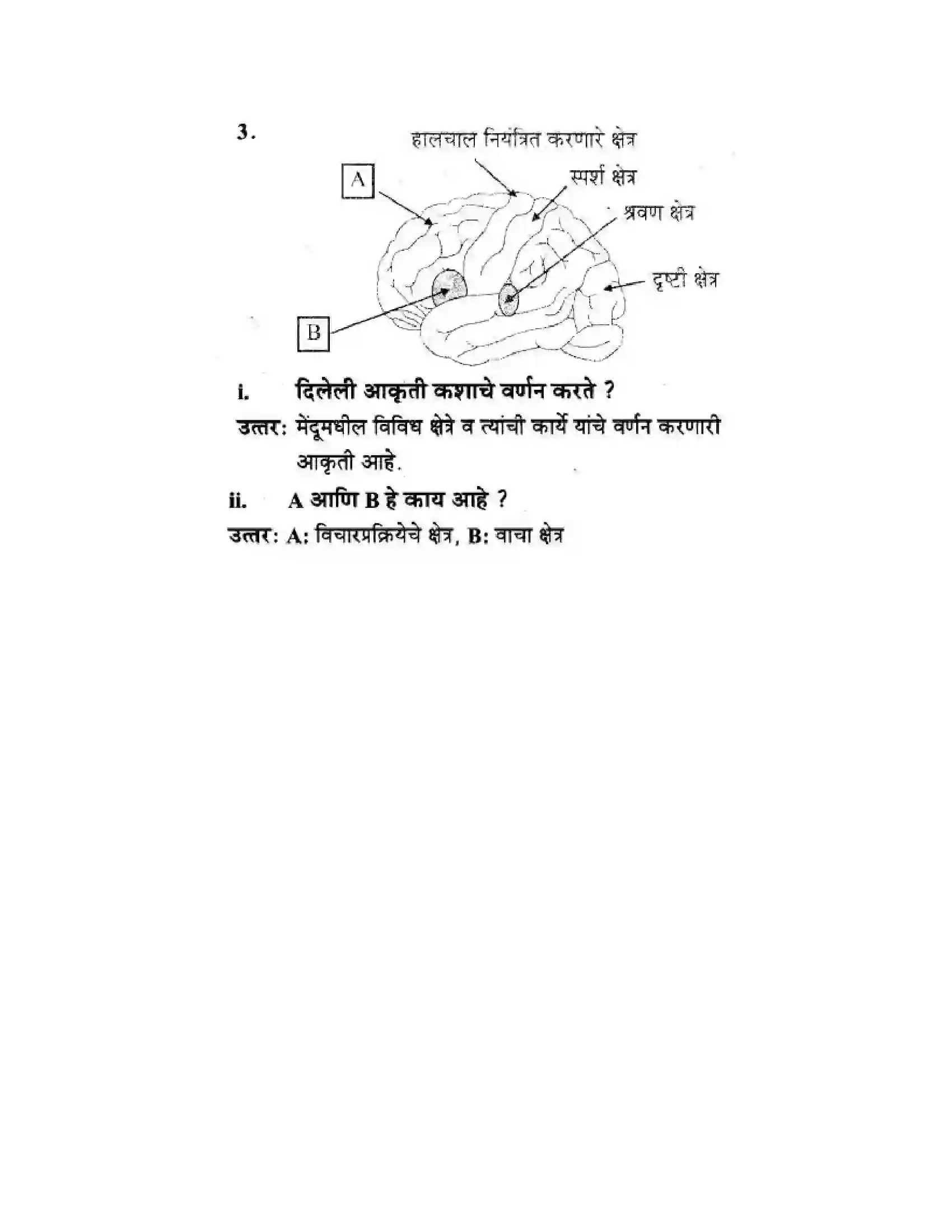 Maharashtra Board Class 10th Science & Technology - Marathi Medium The Regulators of Life Solution 45