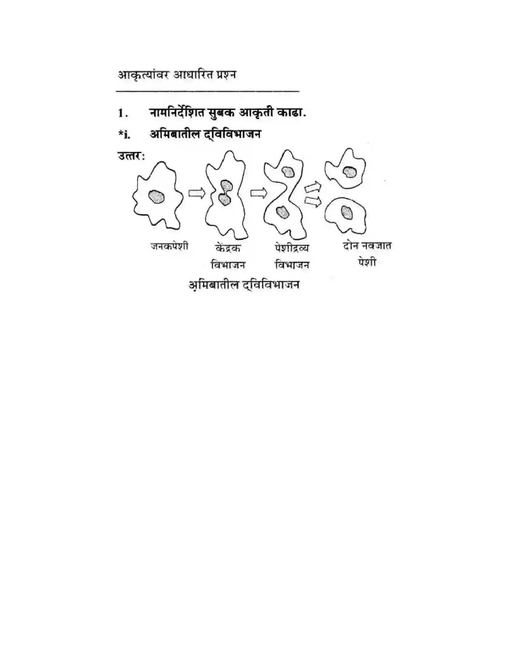 Maharashtra Board Class 10th Science & Technology - Marathi Medium The Life Cycle Solution 41