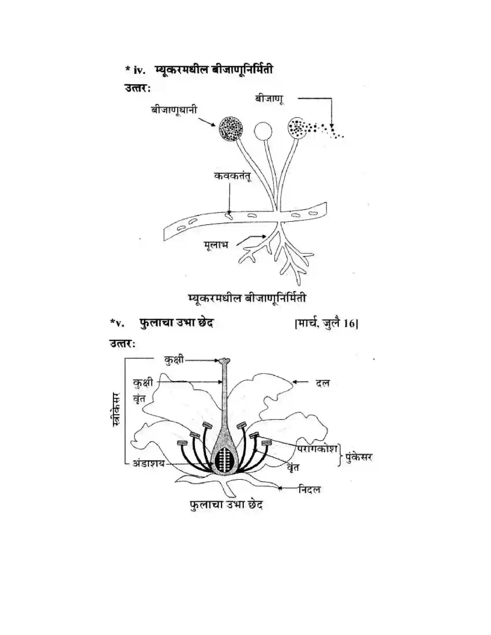 Maharashtra Board Class 10th Science & Technology - Marathi Medium The Life Cycle Solution 43
