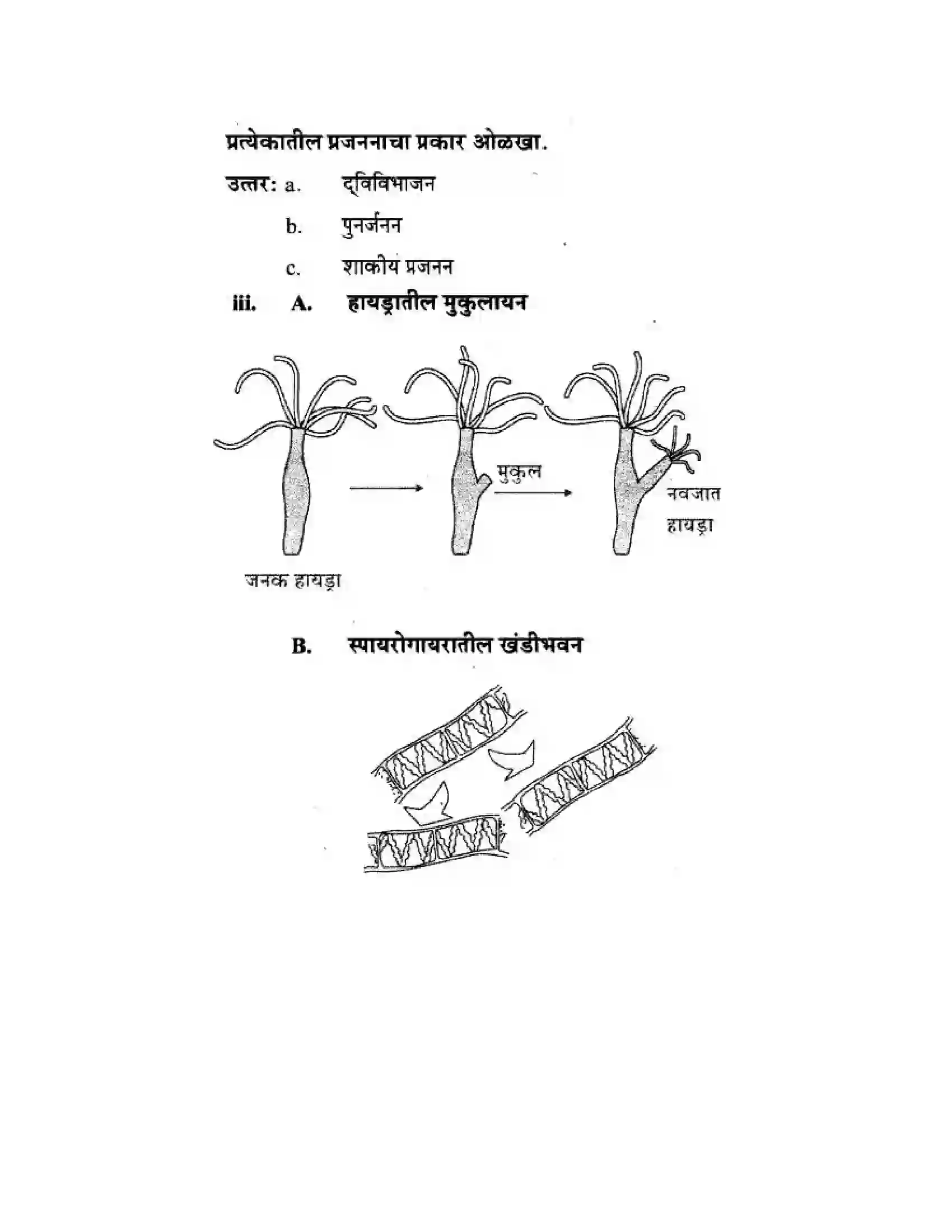Maharashtra Board Class 10th Science & Technology - Marathi Medium The Life Cycle Solution 45