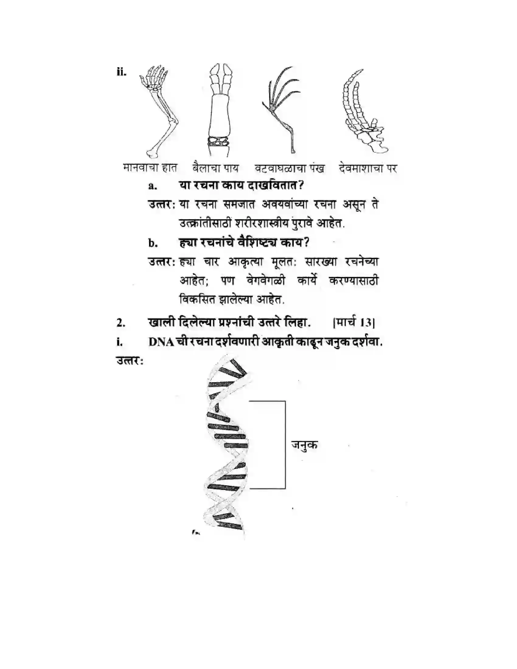 Maharashtra Board Class 10th Science & Technology - Marathi Medium Mapping Our Genes Solution 38