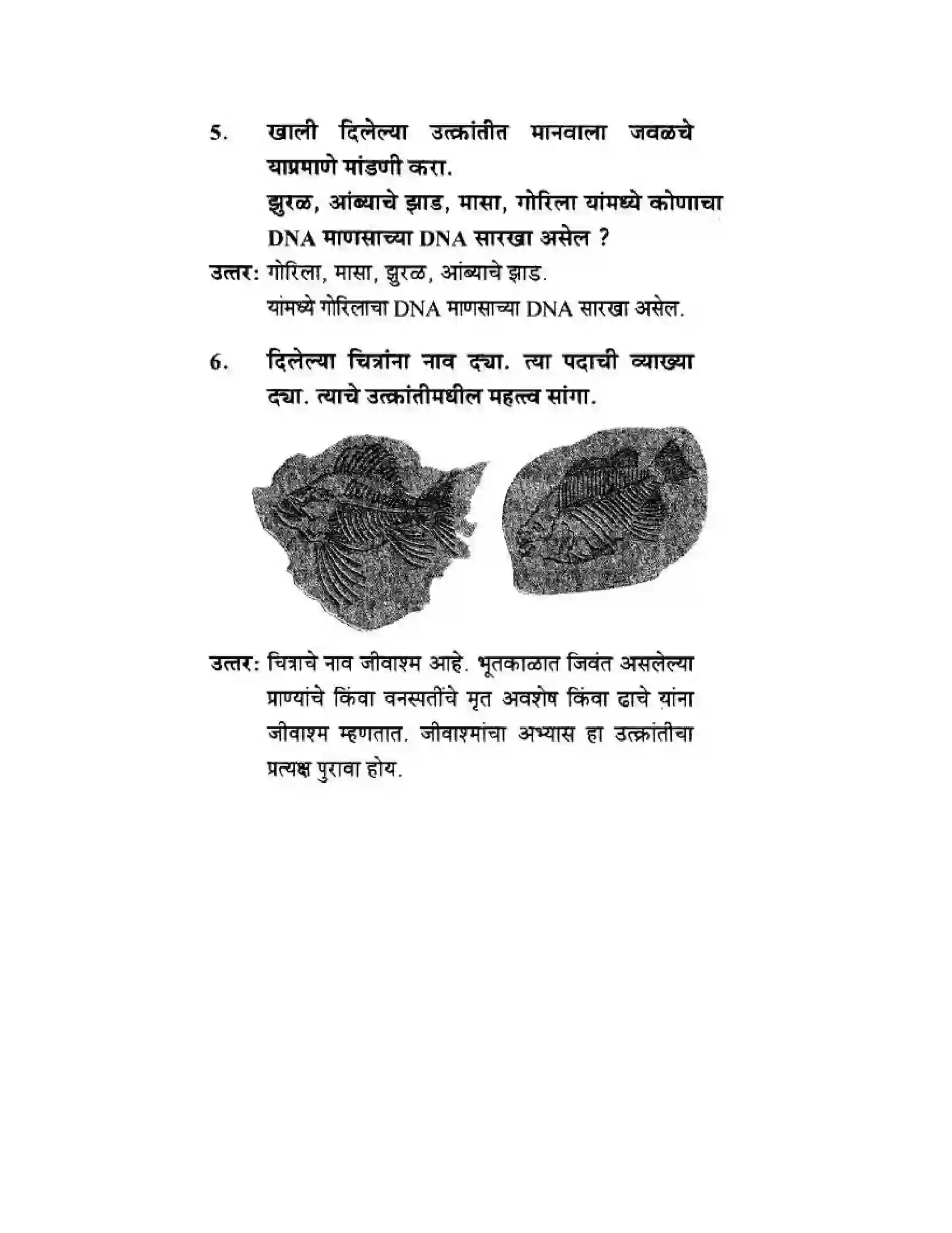 Maharashtra Board Class 10th Science & Technology - Marathi Medium Mapping Our Genes Solution 43