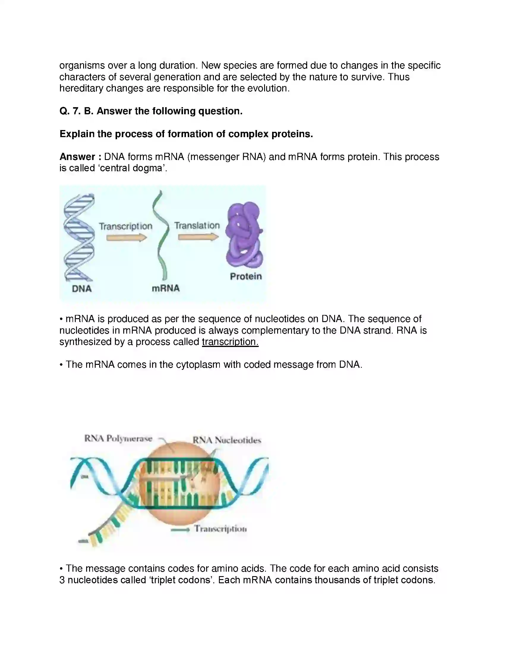 Maharashtra Board Class 10th Science & Technology-II - English Medium Heredity and Evolution Solution 10