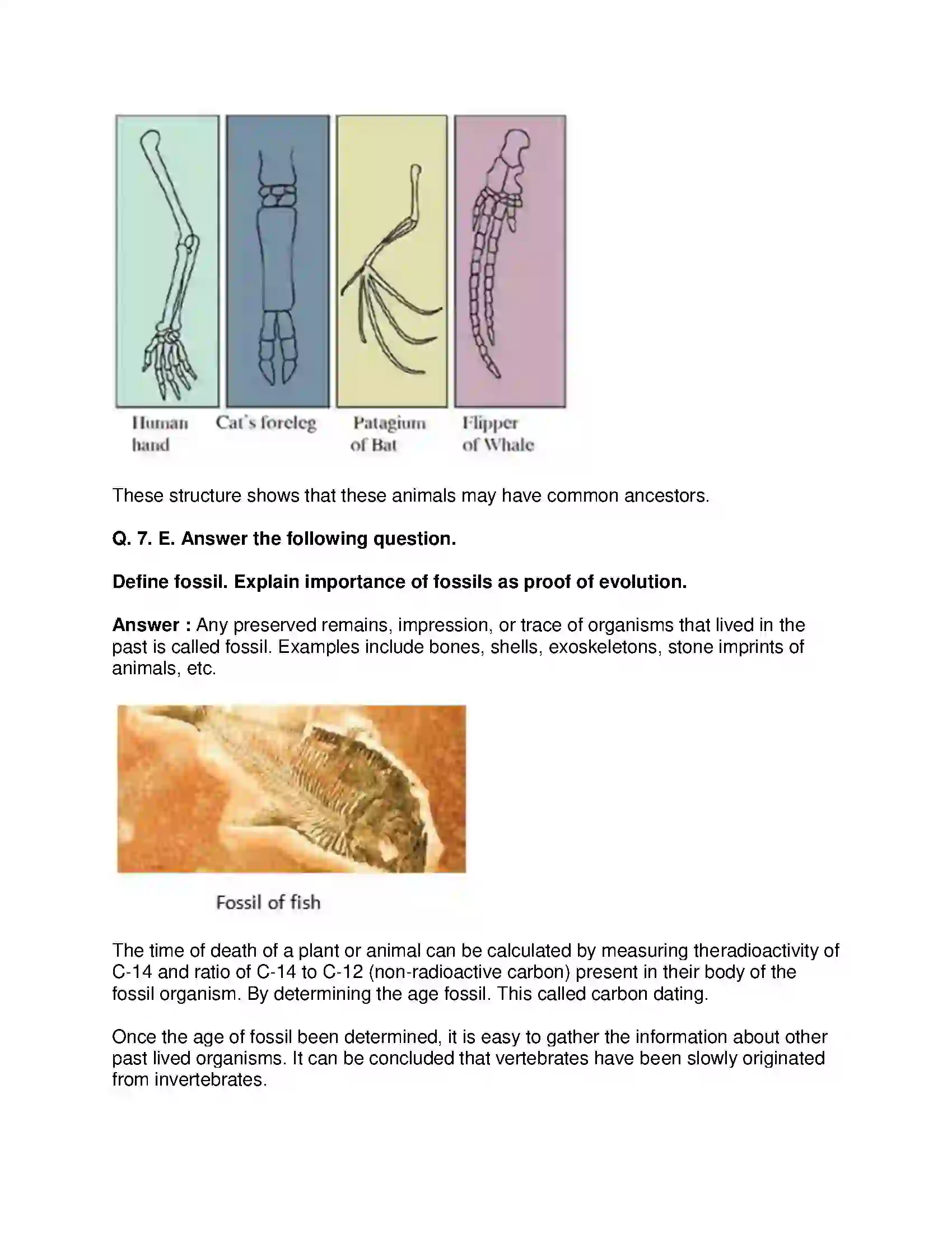 Maharashtra Board Class 10th Science & Technology-II - English Medium Heredity and Evolution Solution 13