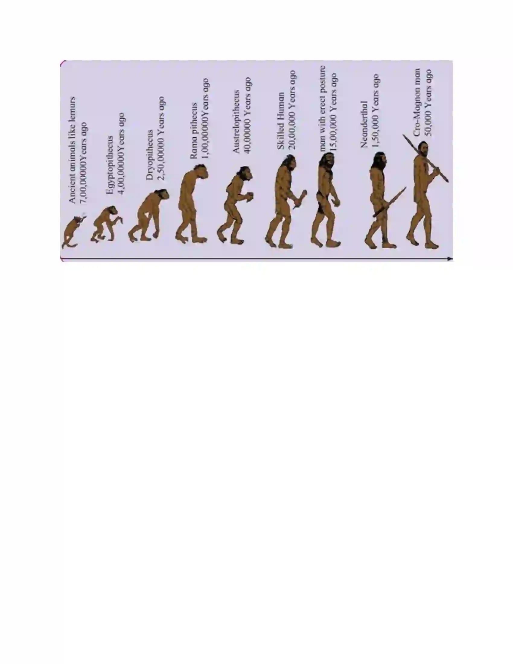 Maharashtra Board Class 10th Science & Technology-II - English Medium Heredity and Evolution Solution 15