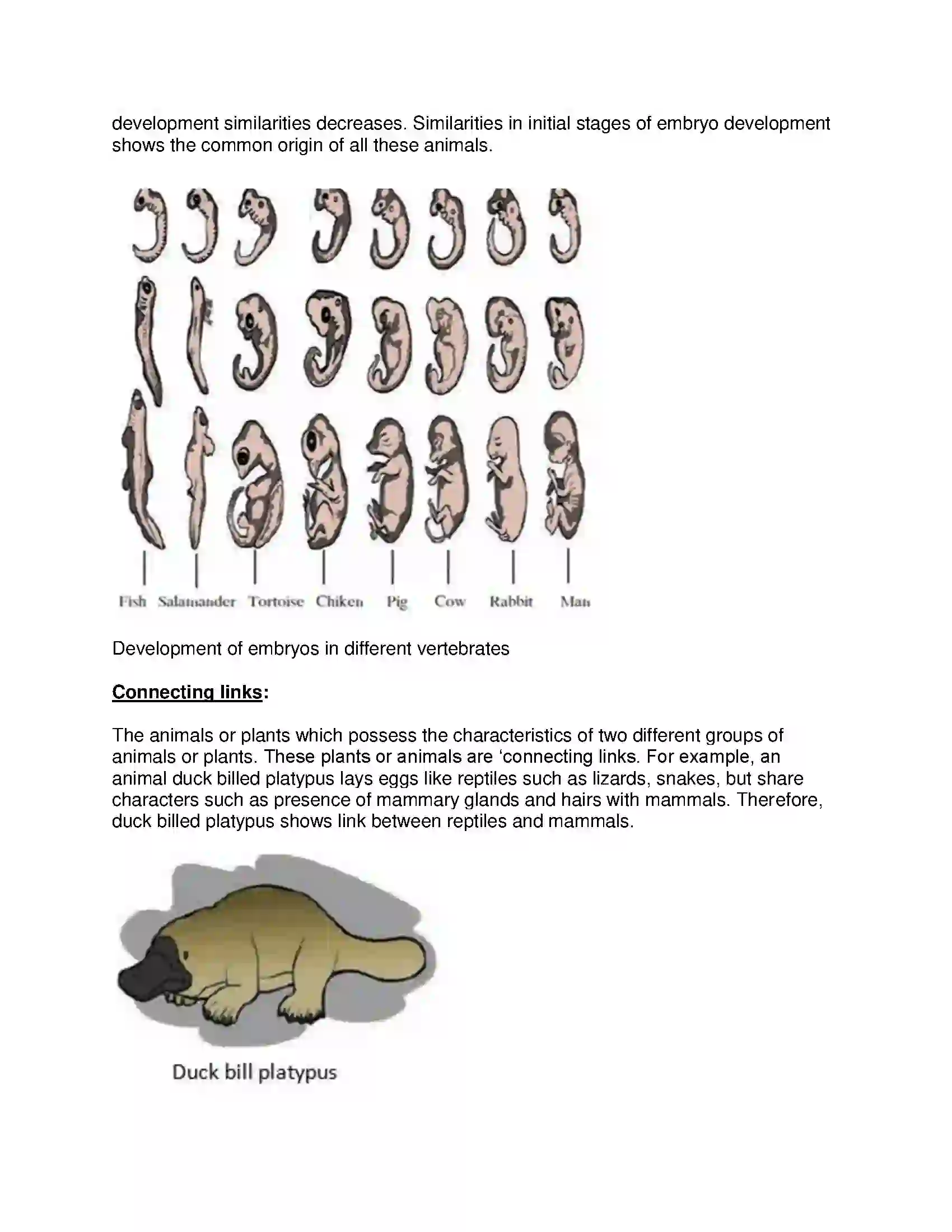 Maharashtra Board Class 10th Science & Technology-II - English Medium Heredity and Evolution Solution 2