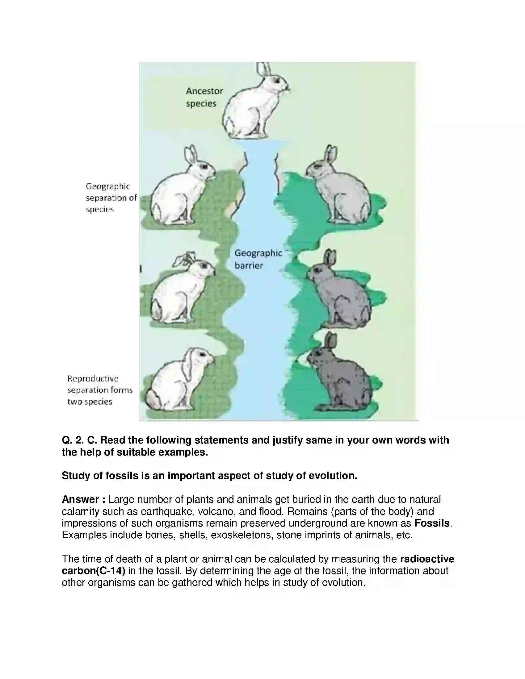 Maharashtra Board Class 10th Science & Technology-II - English Medium Heredity and Evolution Solution 4