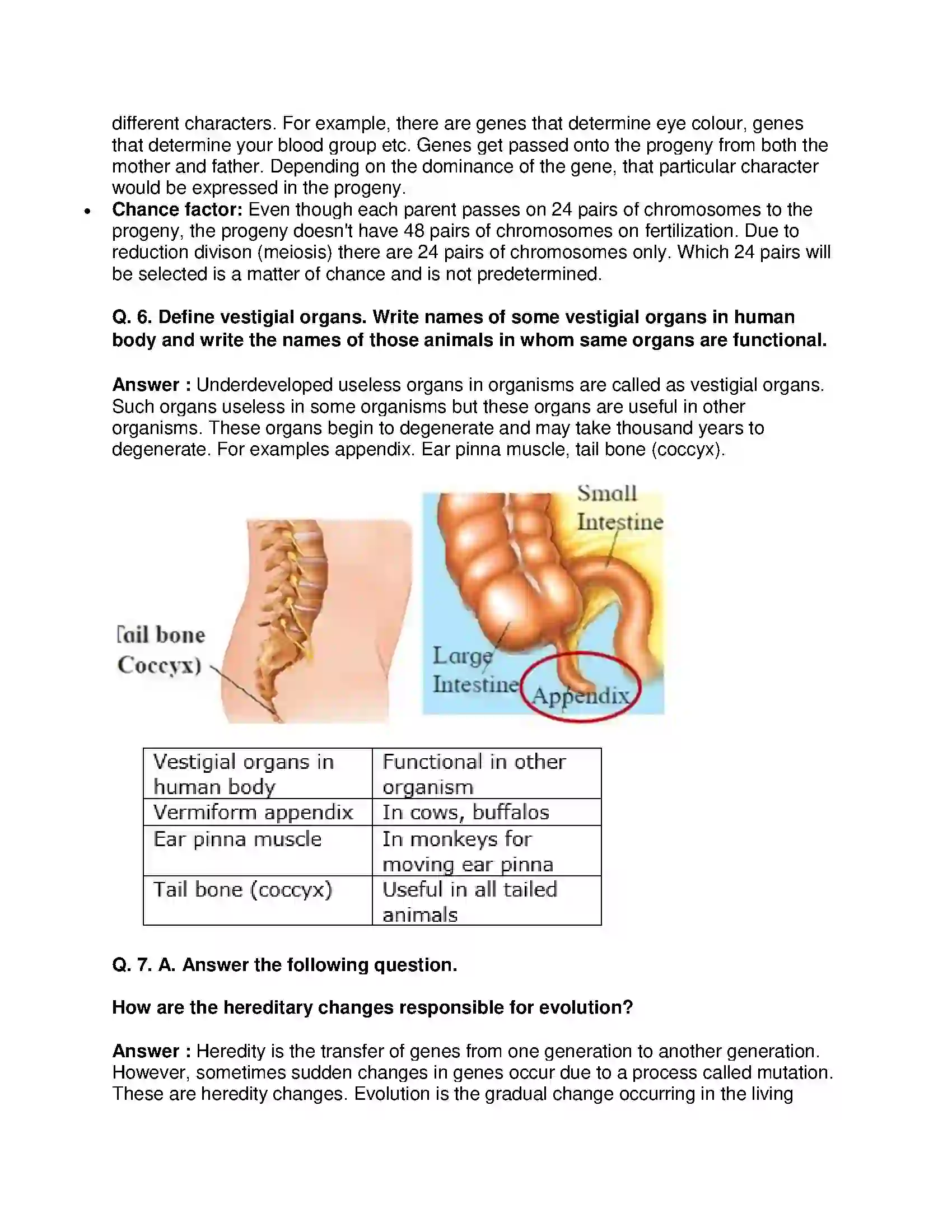Maharashtra Board Class 10th Science & Technology-II - English Medium Heredity and Evolution Solution 9