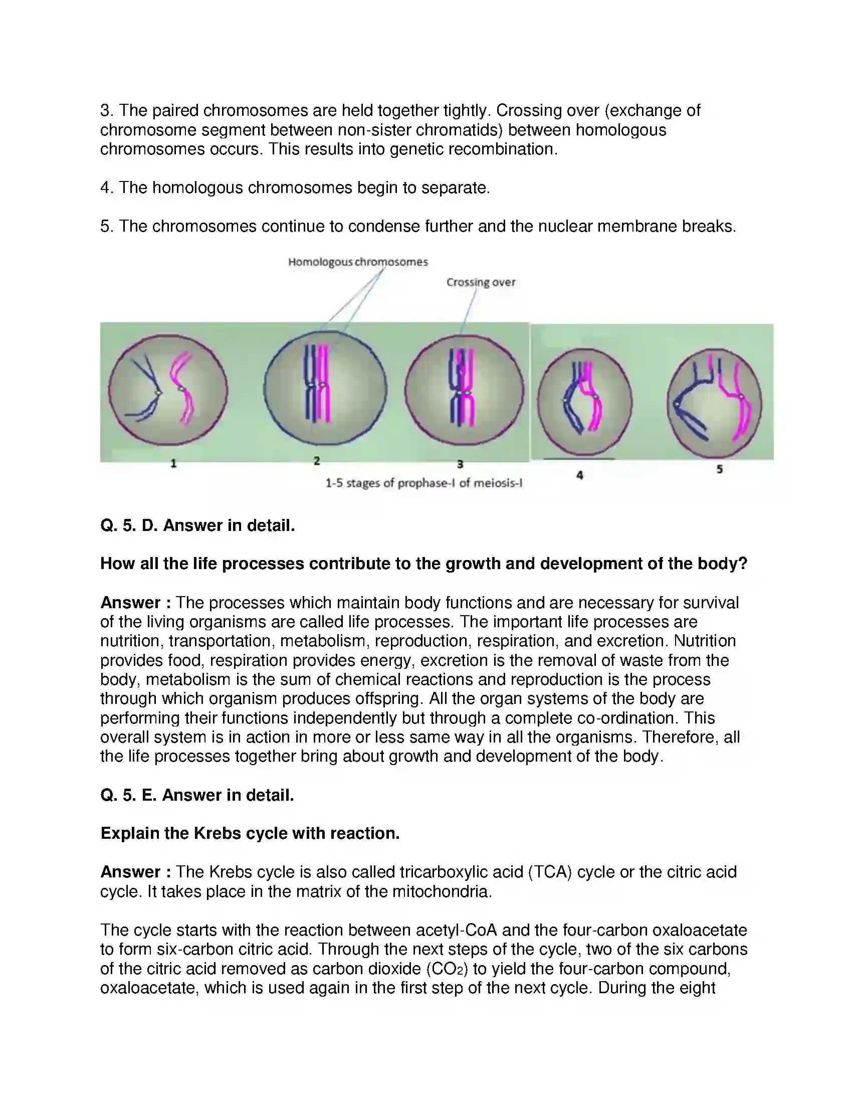 Maharashtra Board Class 10th Science & Technology-II - English Medium Life Processes in Living Organisms Part-1 Solution 10