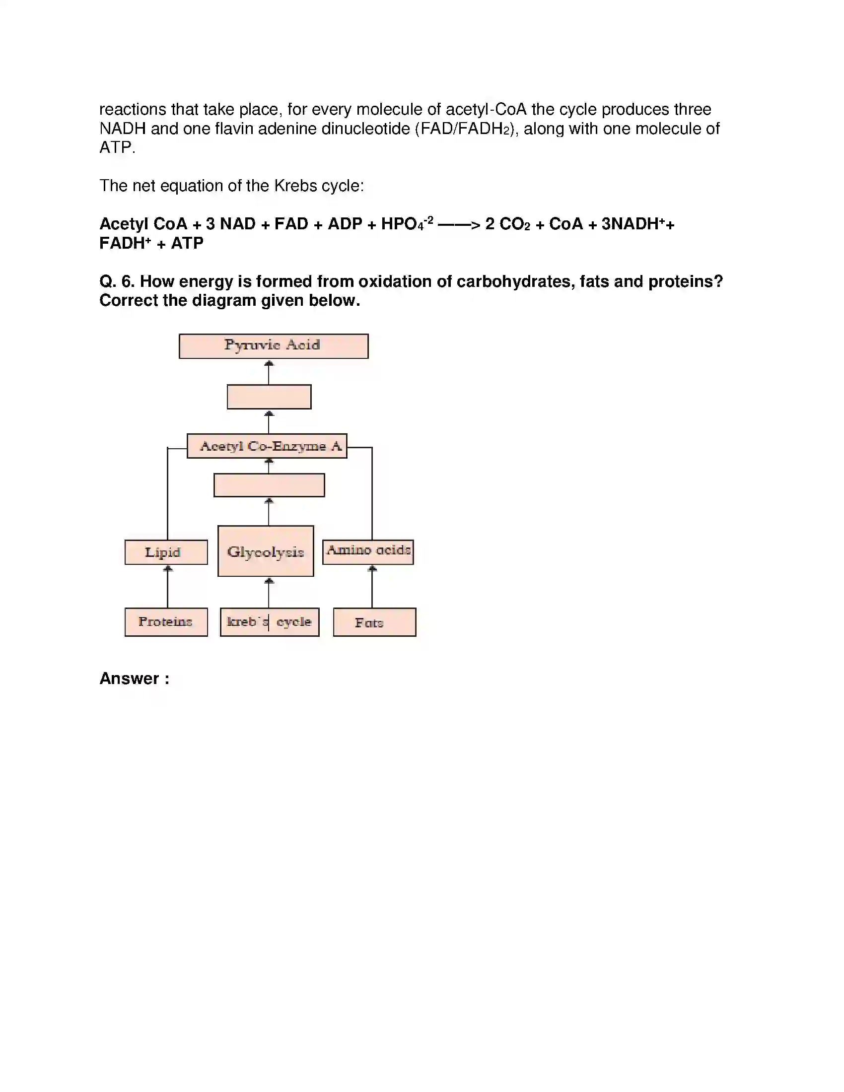 Maharashtra Board Class 10th Science & Technology-II - English Medium Life Processes in Living Organisms Part-1 Solution 11