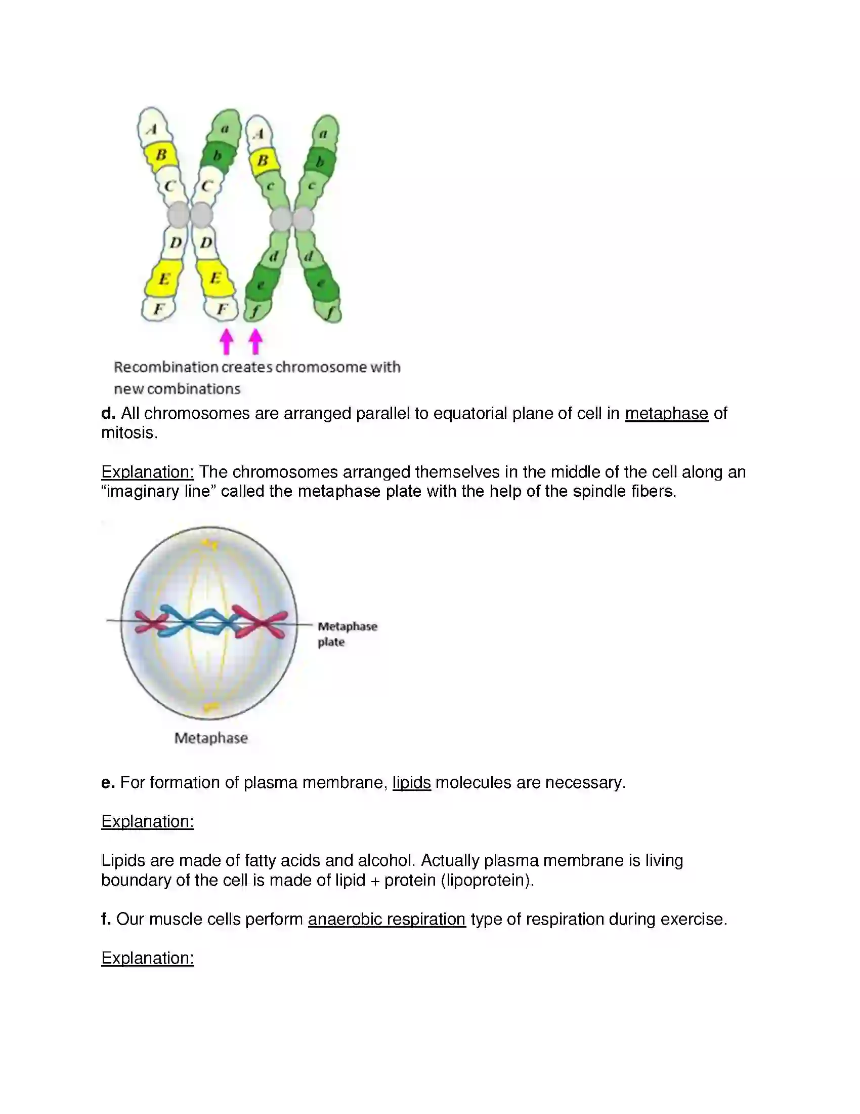 Maharashtra Board Class 10th Science & Technology-II - English Medium Life Processes in Living Organisms Part-1 Solution 2