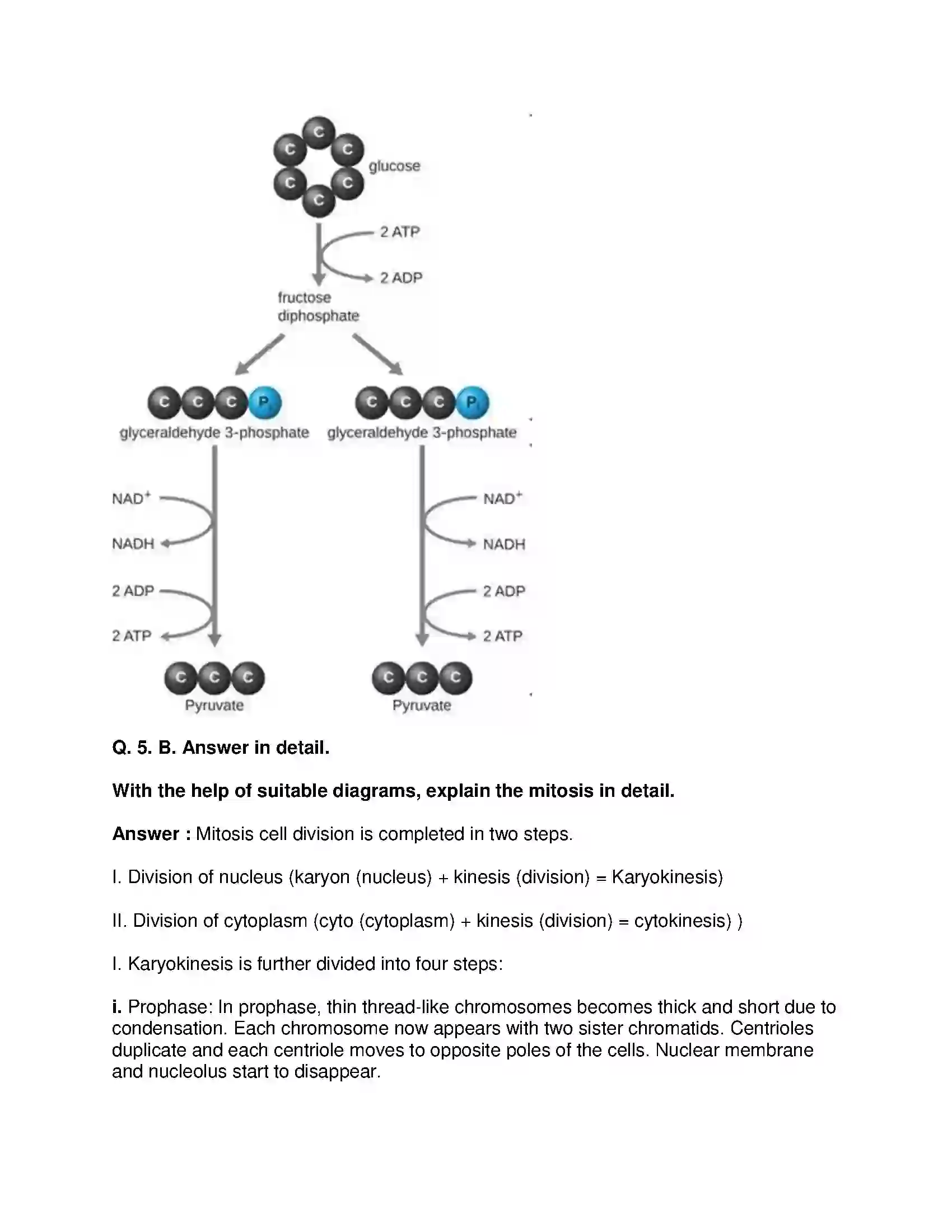Maharashtra Board Class 10th Science & Technology-II - English Medium Life Processes in Living Organisms Part-1 Solution 7
