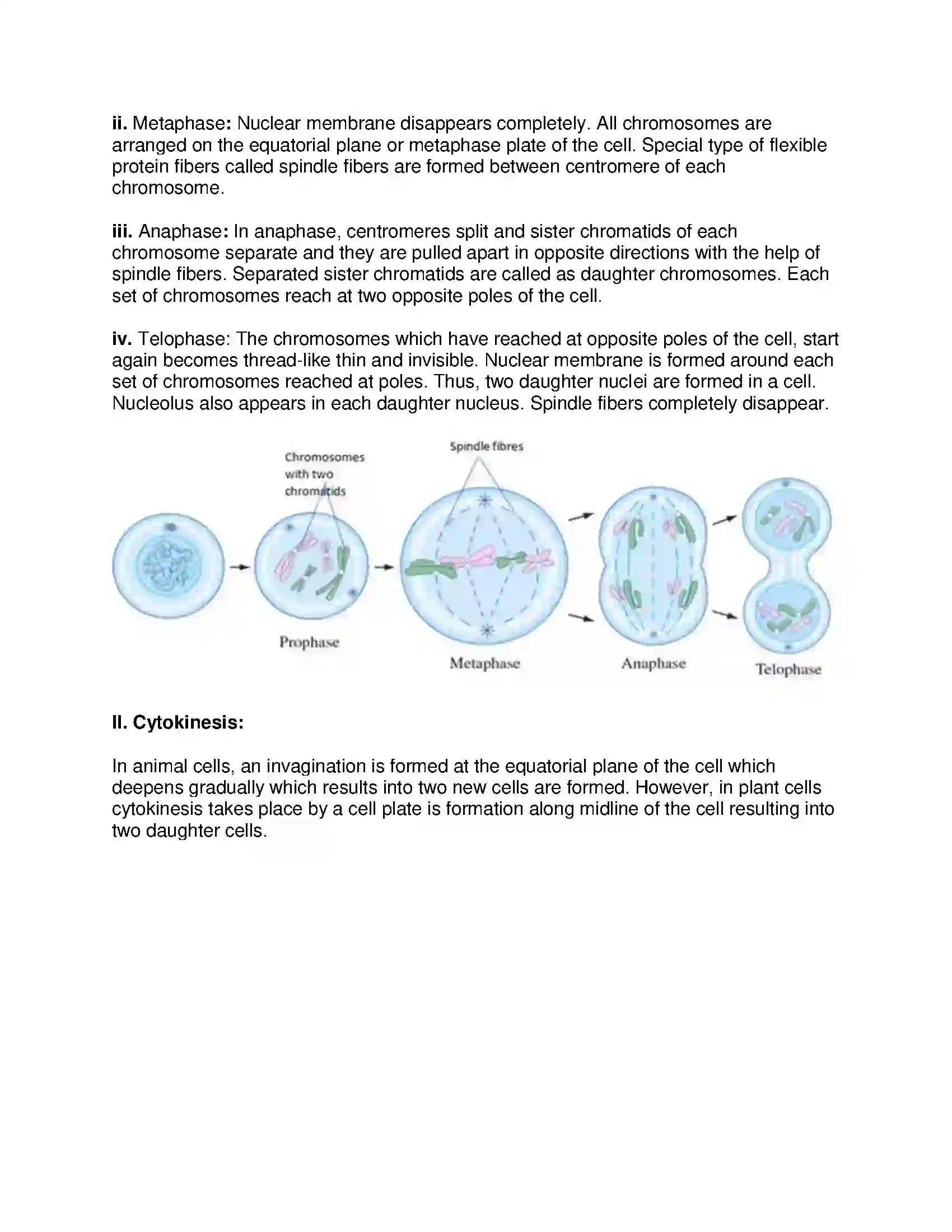 Maharashtra Board Class 10th Science & Technology-II - English Medium Life Processes in Living Organisms Part-1 Solution 8