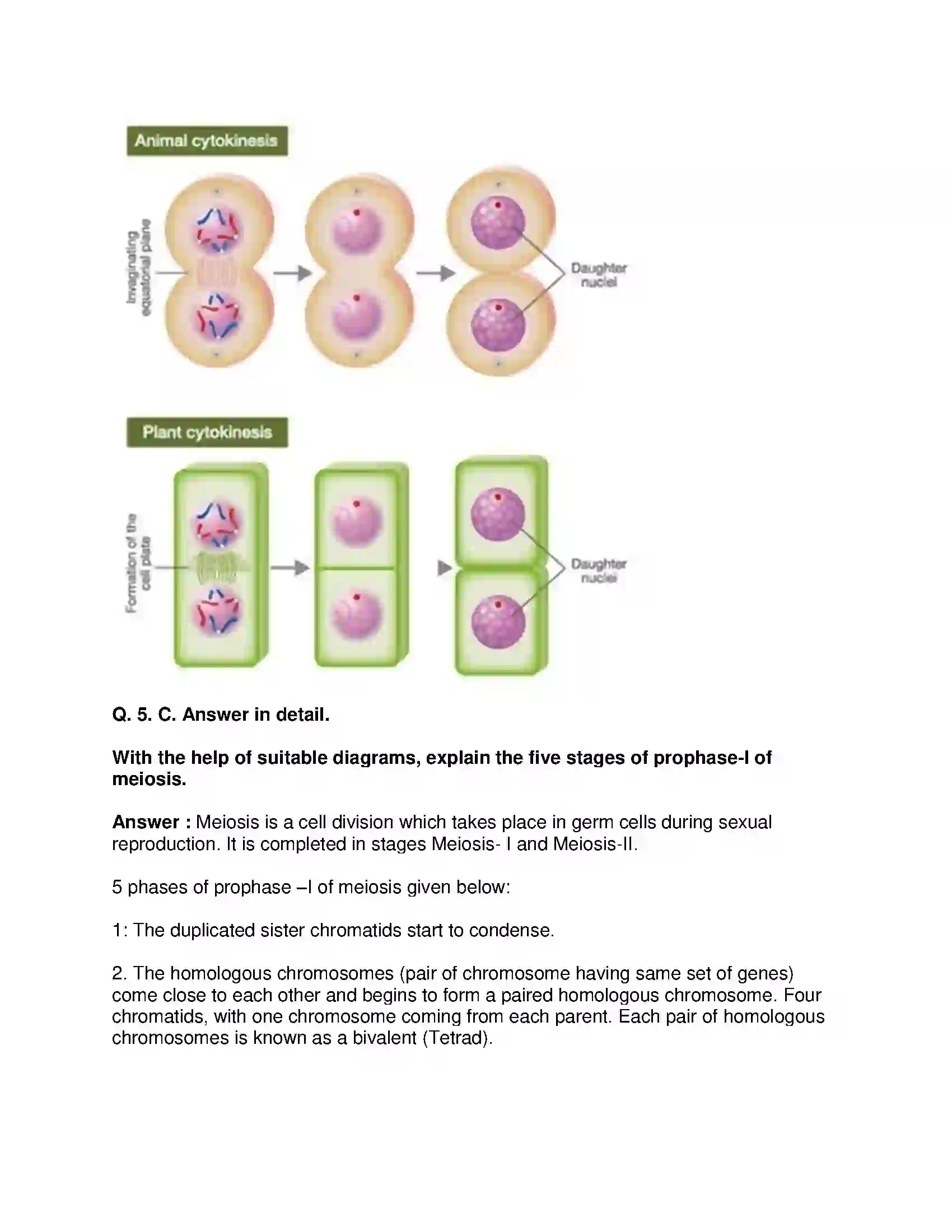 Maharashtra Board Class 10th Science & Technology-II - English Medium Life Processes in Living Organisms Part-1 Solution 9