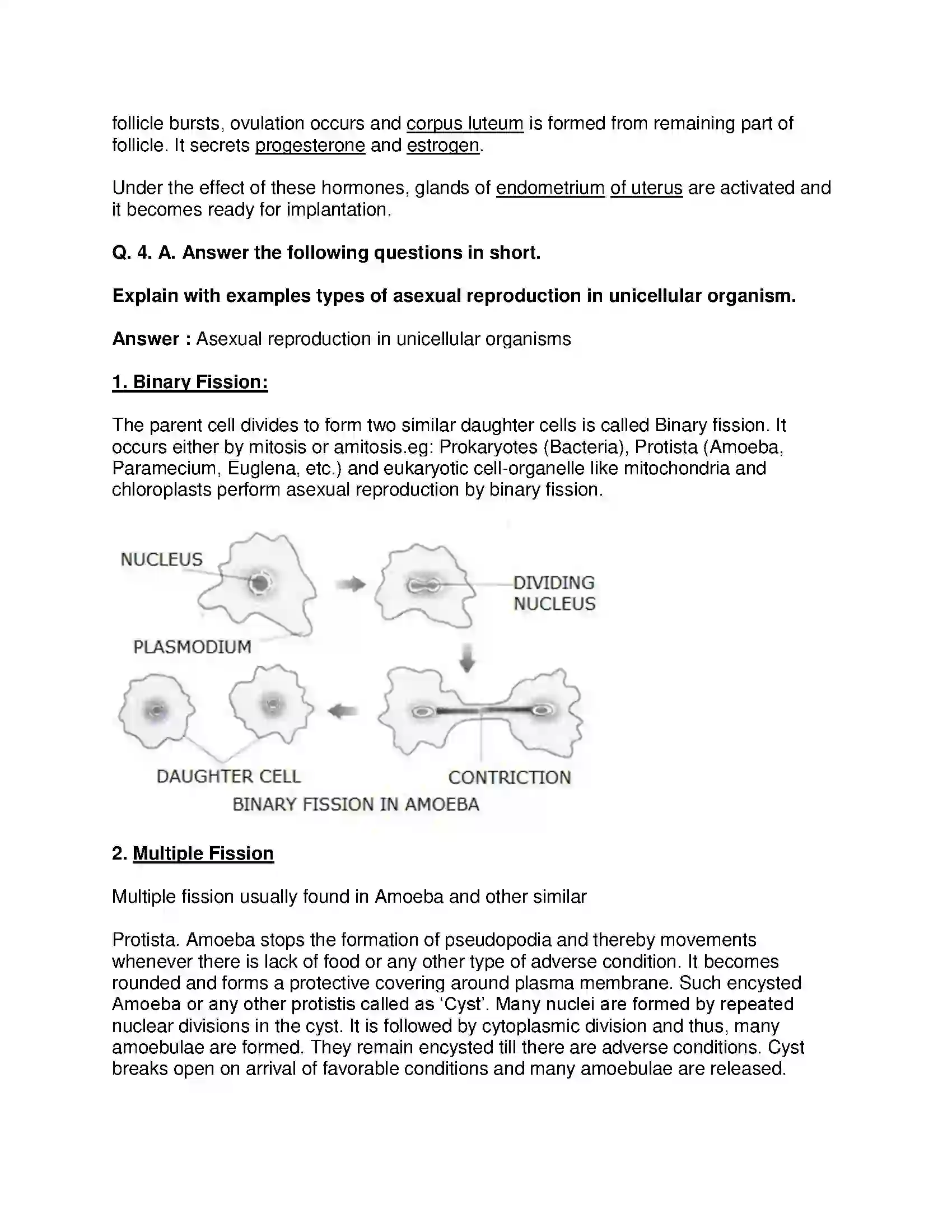 Maharashtra Board Class 10th Science & Technology-II - English Medium Life Processes in Living Organisms Part-2 Solution 4