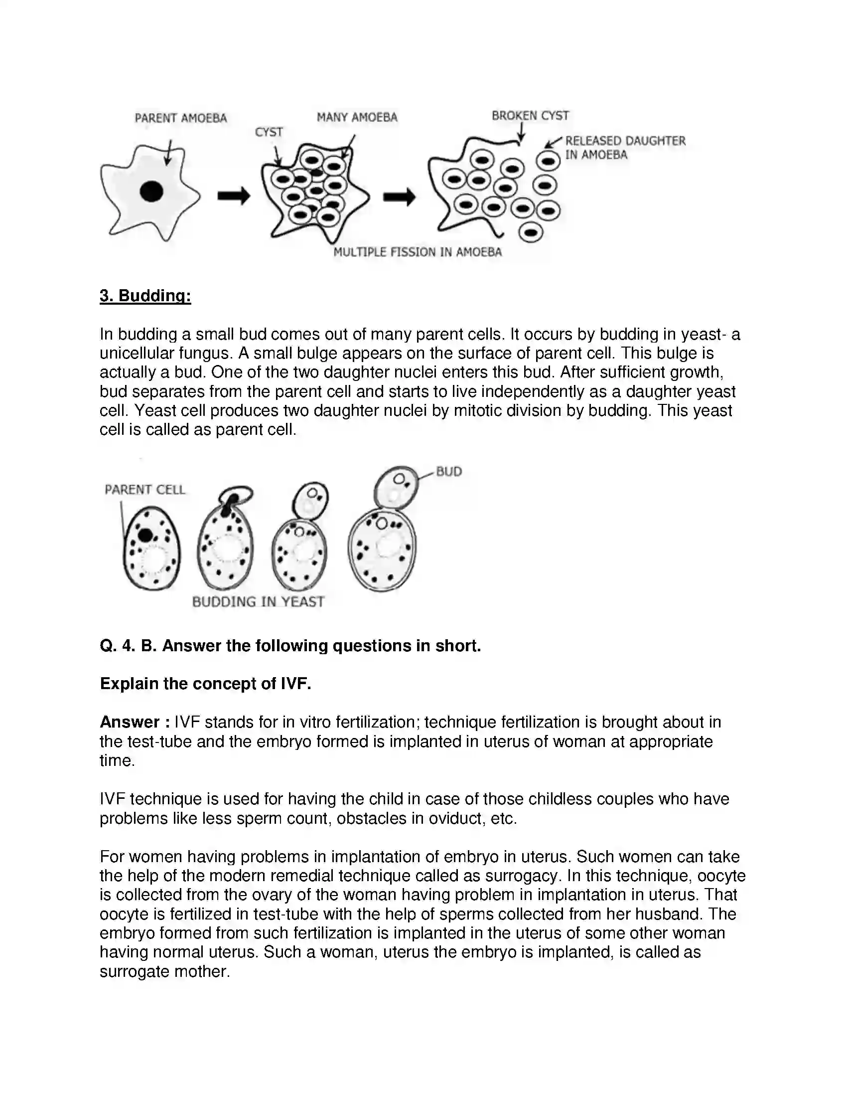 Maharashtra Board Class 10th Science & Technology-II - English Medium Life Processes in Living Organisms Part-2 Solution 5