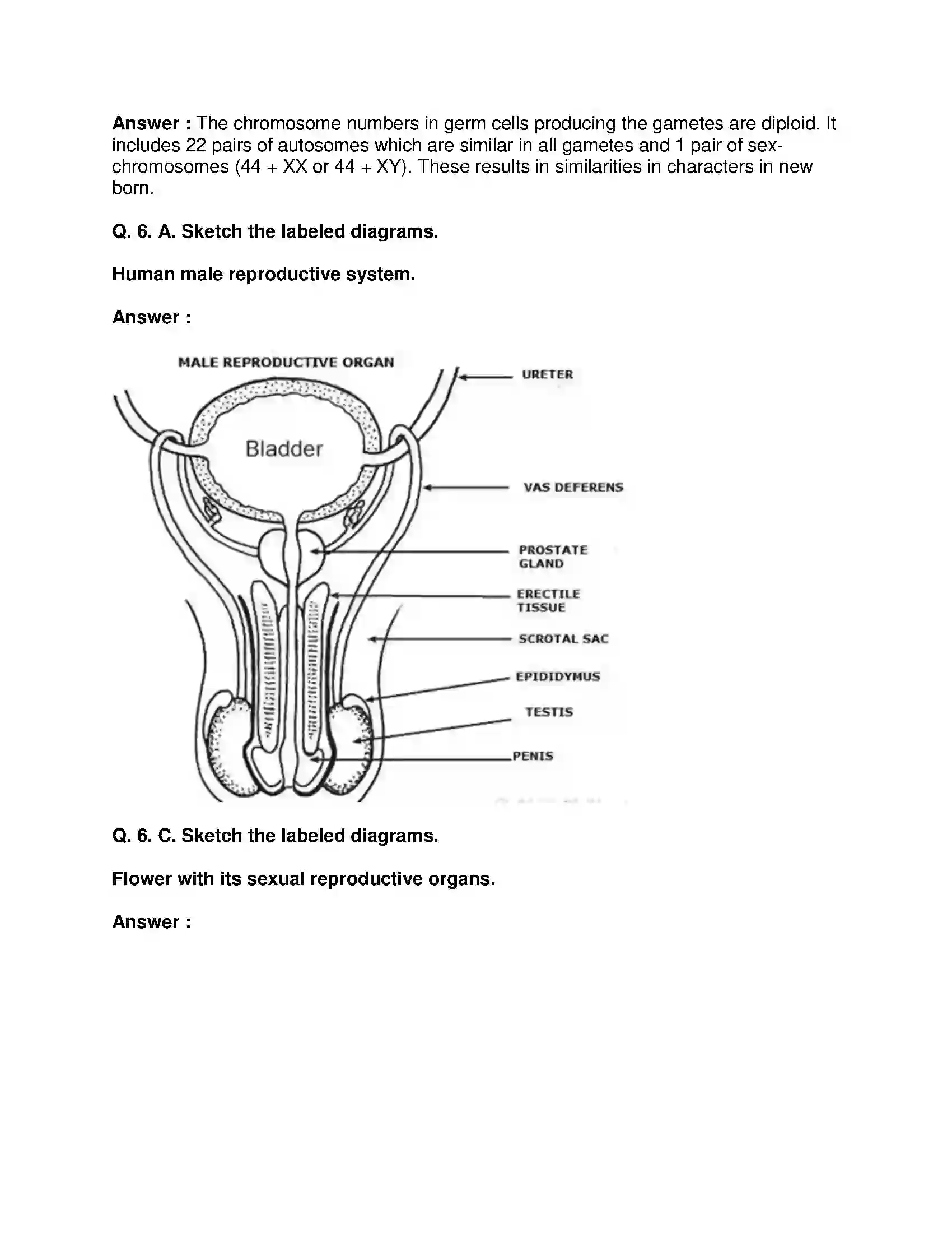 Maharashtra Board Class 10th Science & Technology-II - English Medium Life Processes in Living Organisms Part-2 Solution 7