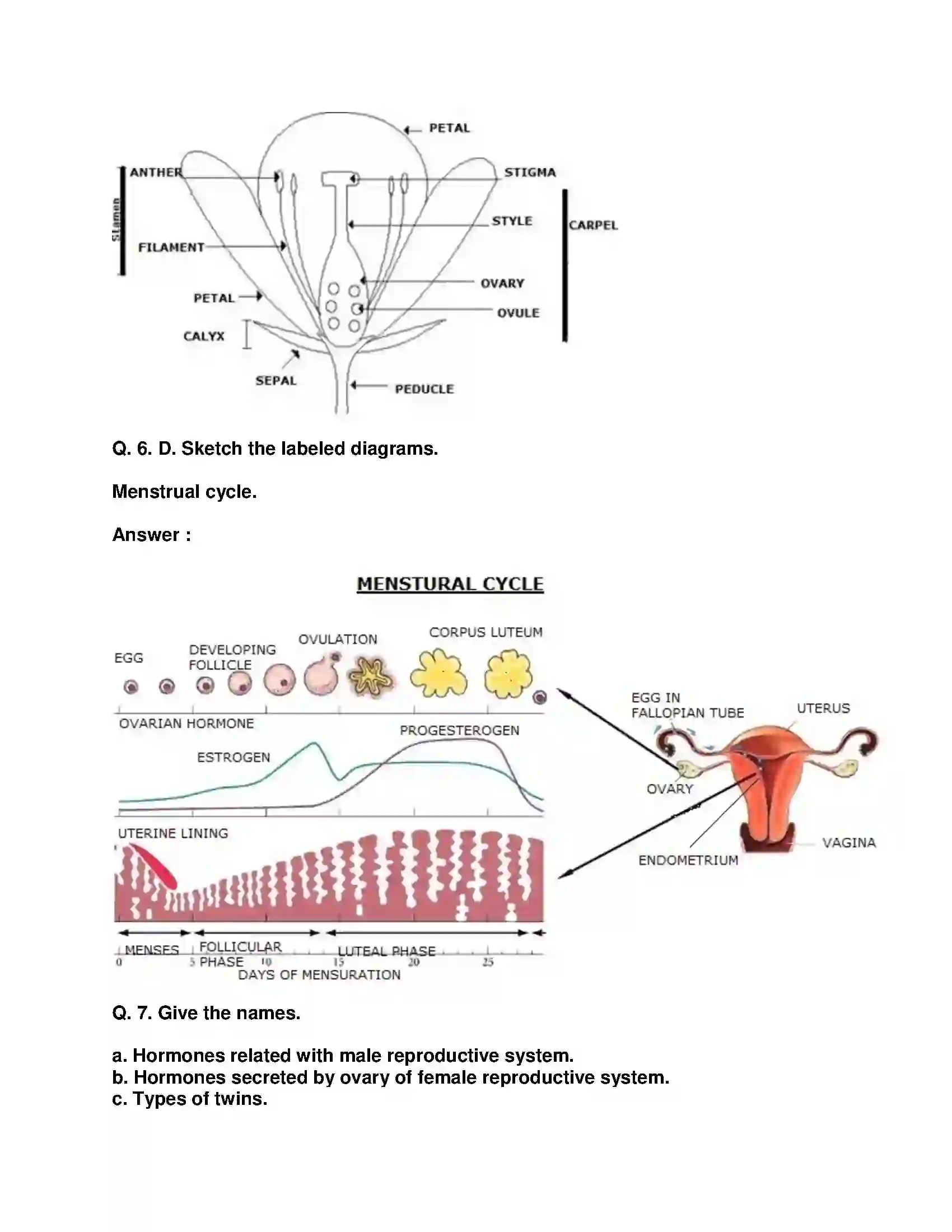 Maharashtra Board Class 10th Science & Technology-II - English Medium Life Processes in Living Organisms Part-2 Solution 8