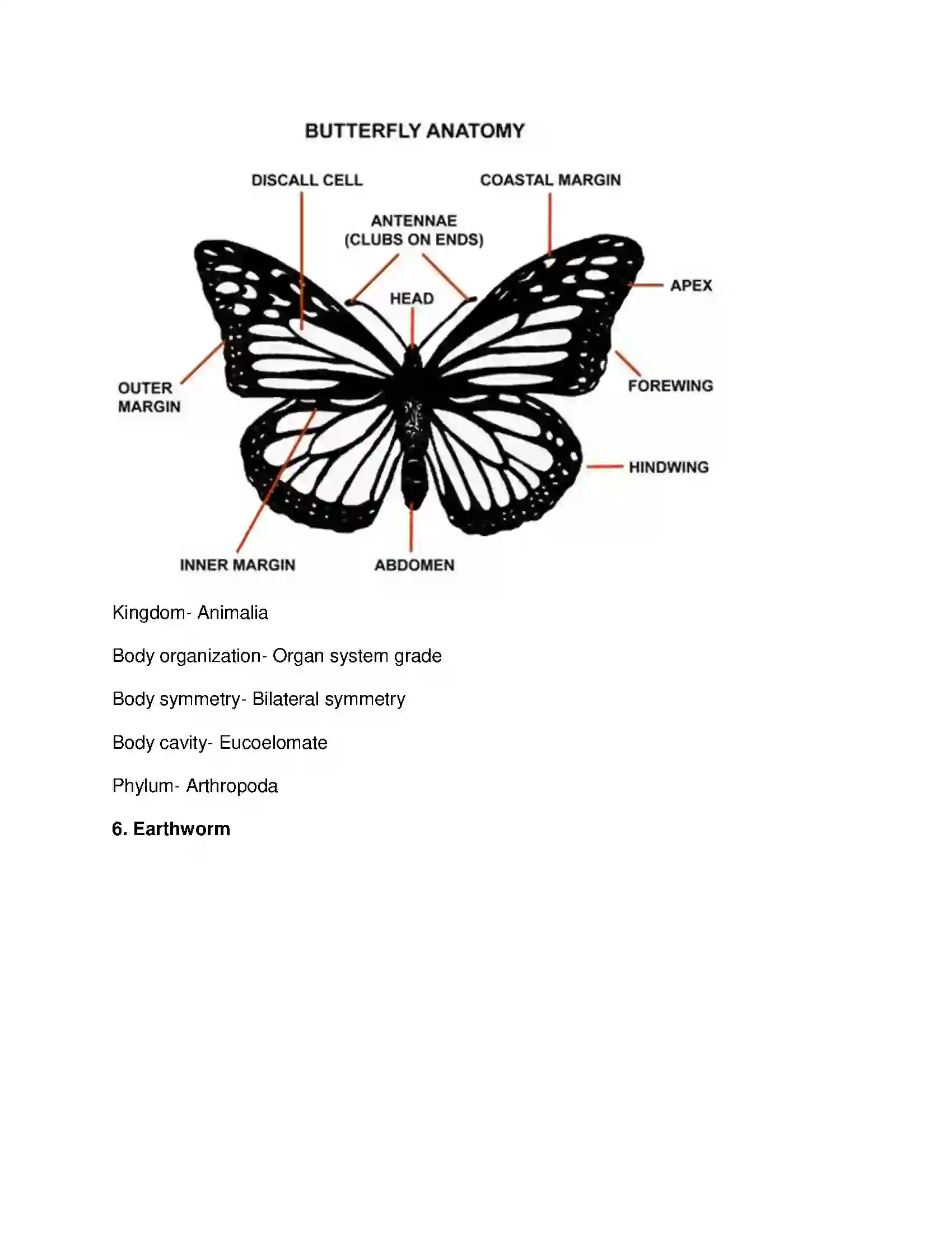 Maharashtra Board Class 10th Science & Technology-II - English Medium Animal Classification Solution 13