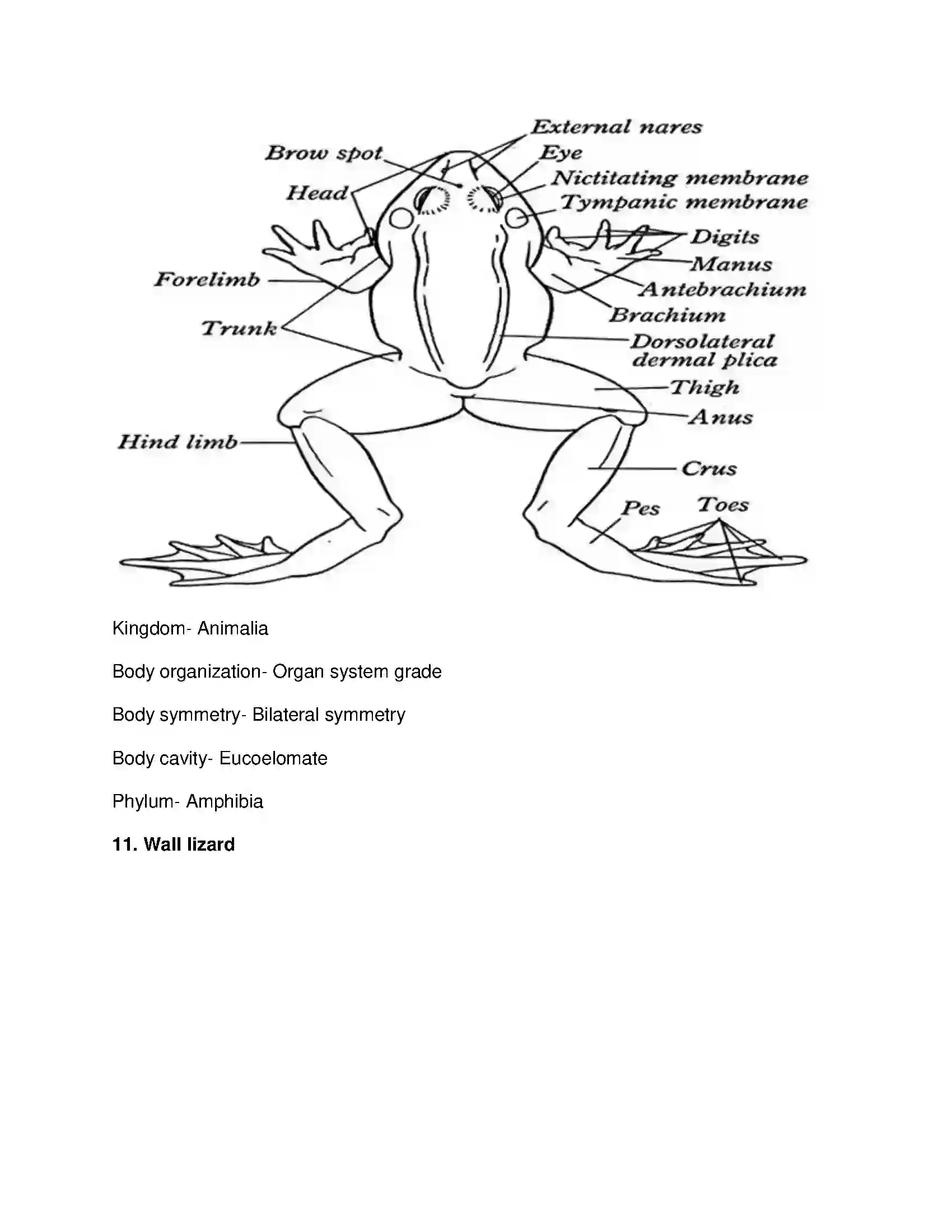 Maharashtra Board Class 10th Science & Technology-II - English Medium Animal Classification Solution 18