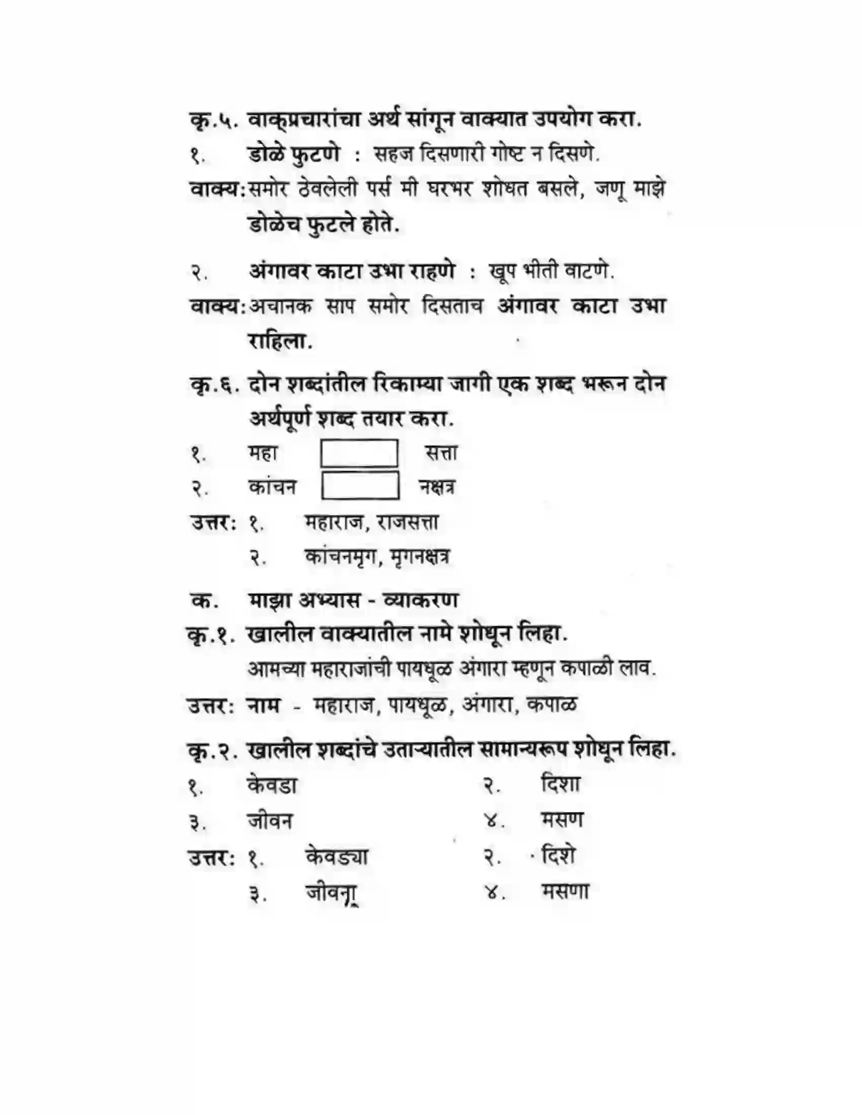 Maharashtra Board Class 10th कुमारभारती कस्तुरीमृग - गद्य -विभाग Solution 19